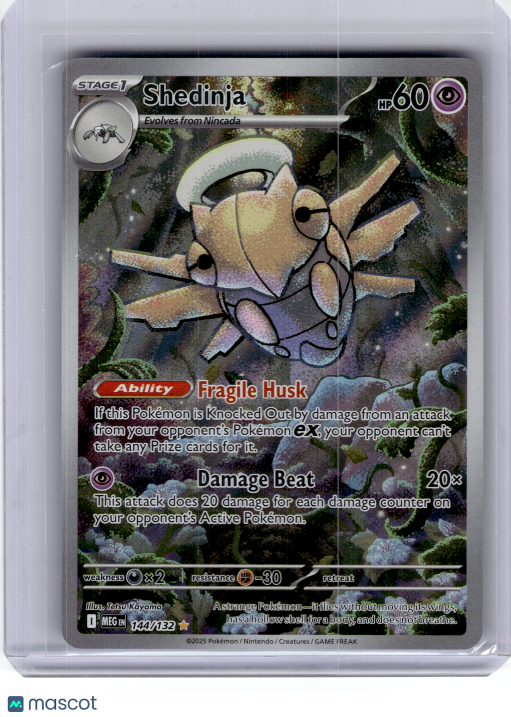2025 Pokemon—Shedinja #144 Mega Evolution—Illustration Rare Holo