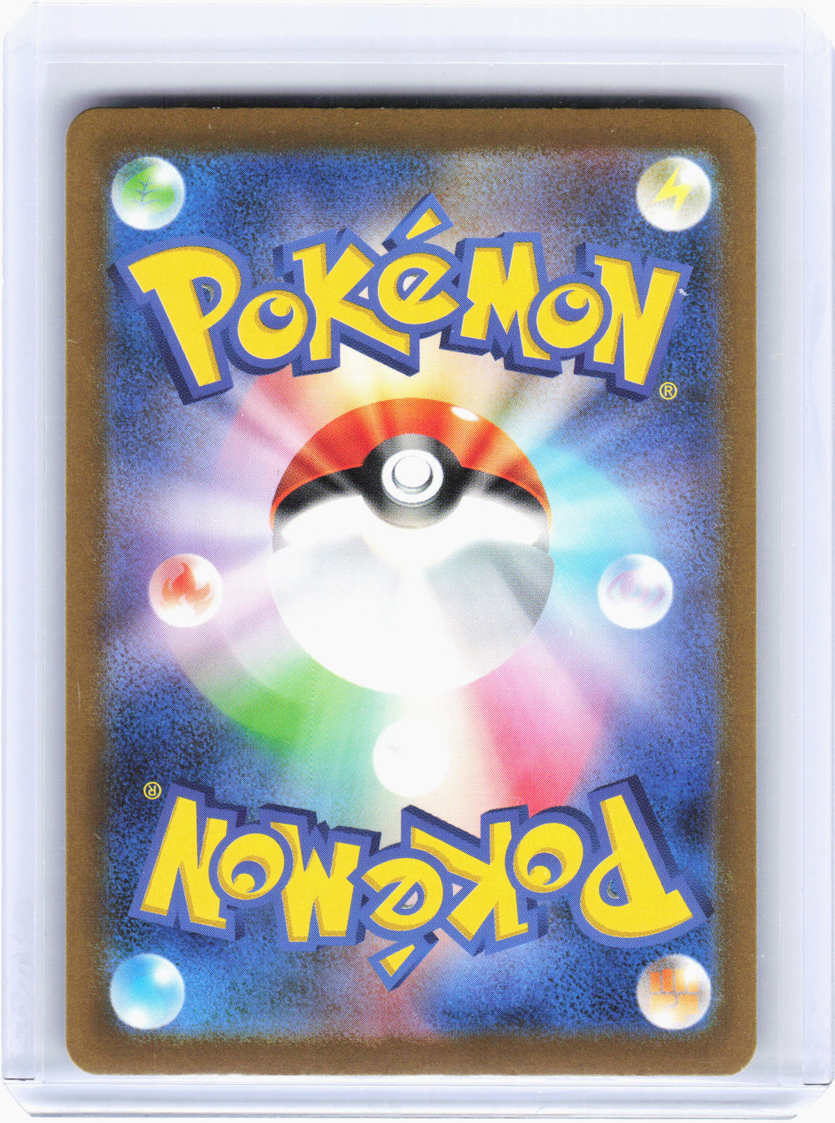 2023 —Wartortle #171 Pokemon Card 151—Art Rare Holo Japanese
