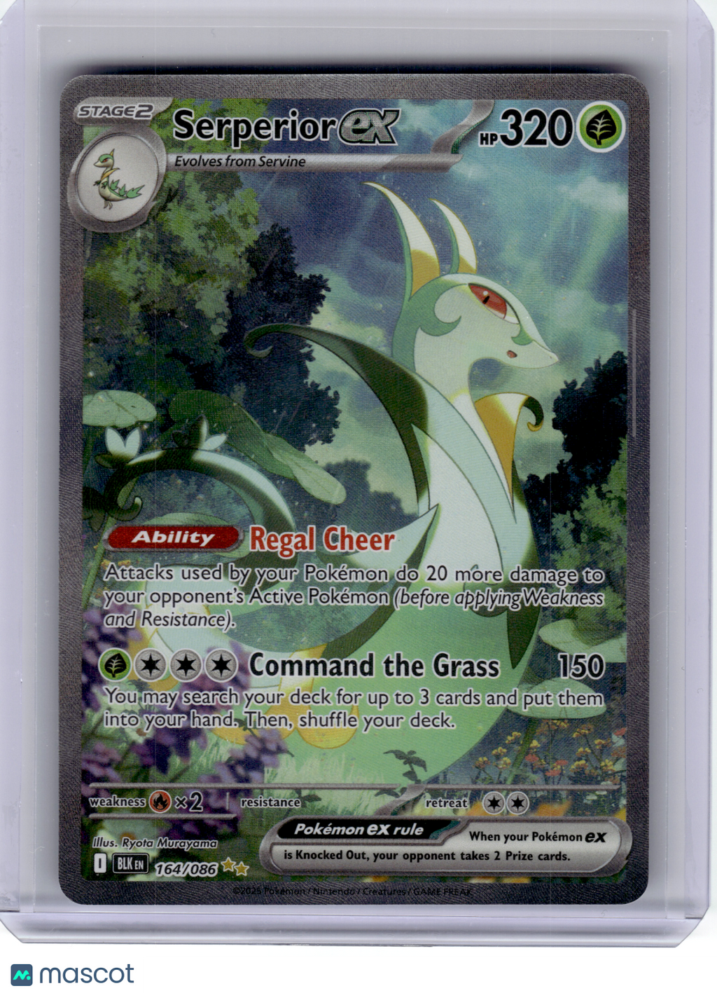 2025 Pokemon—Serperior ex #164 Black Bolt—Special Illustration Rare Holo