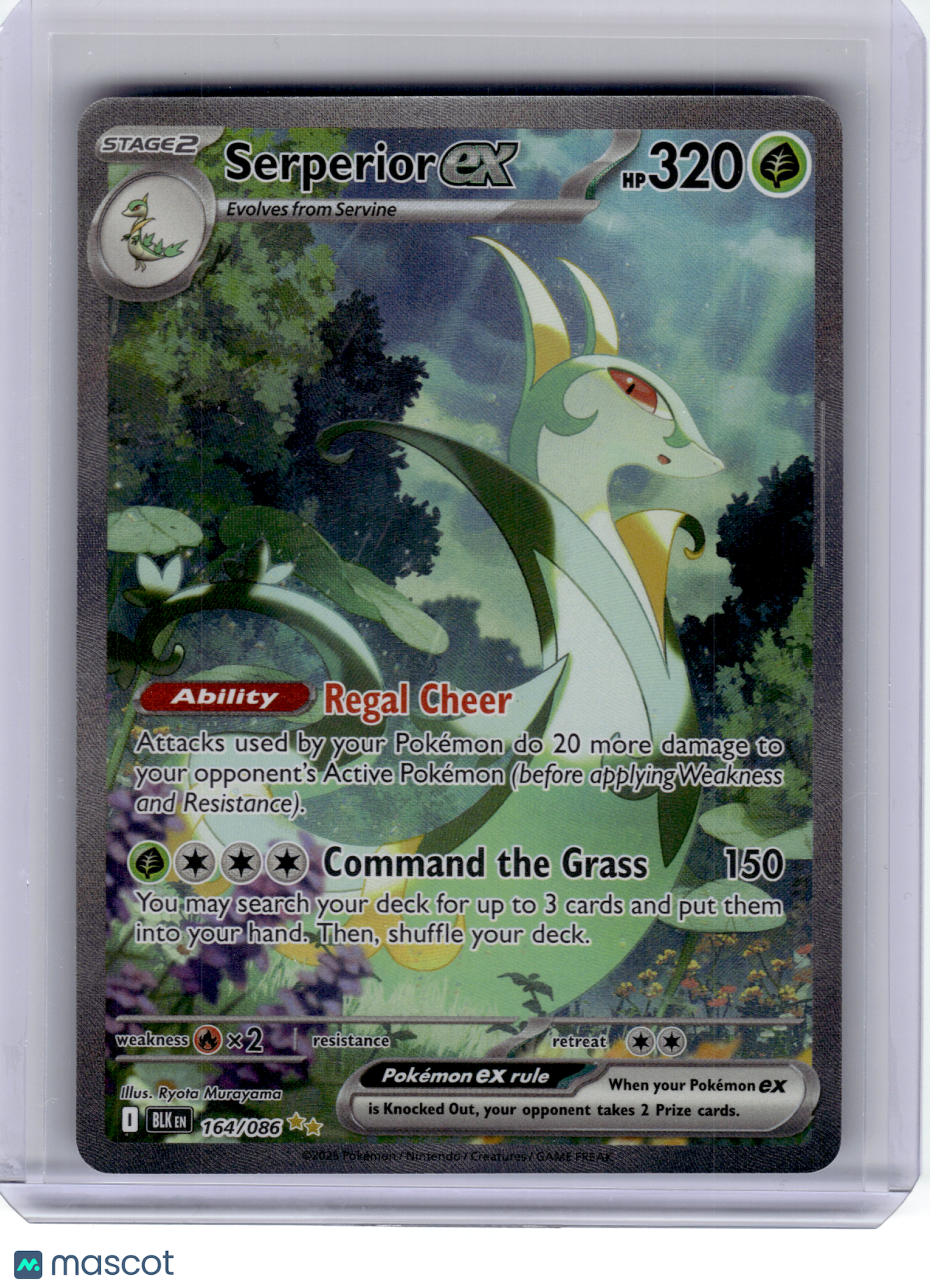 2025 Pokemon—Serperior ex #164 Black Bolt—Special Illustration Rare Holo