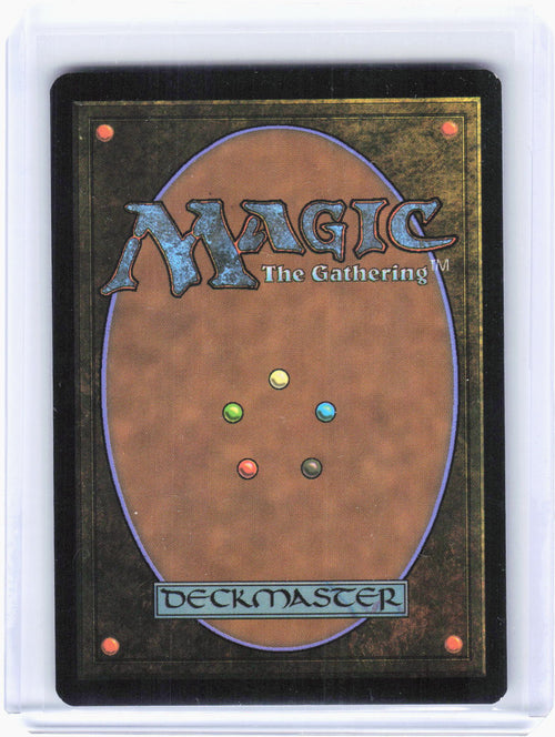 2022 Magic: The Gathering—Plains #293 Kamigawa: Neon Dynasty—Land Foil Japanese