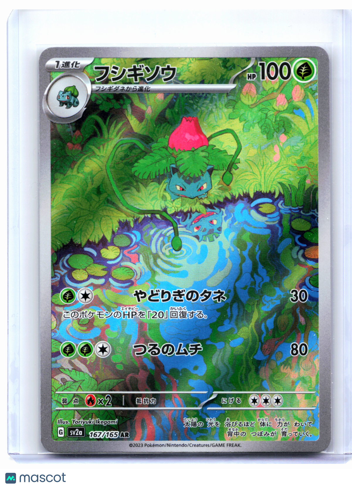 2023 Pokemon—Ivysaur #167/165 Pokemon Card 151—Art Rare Holo Japanese