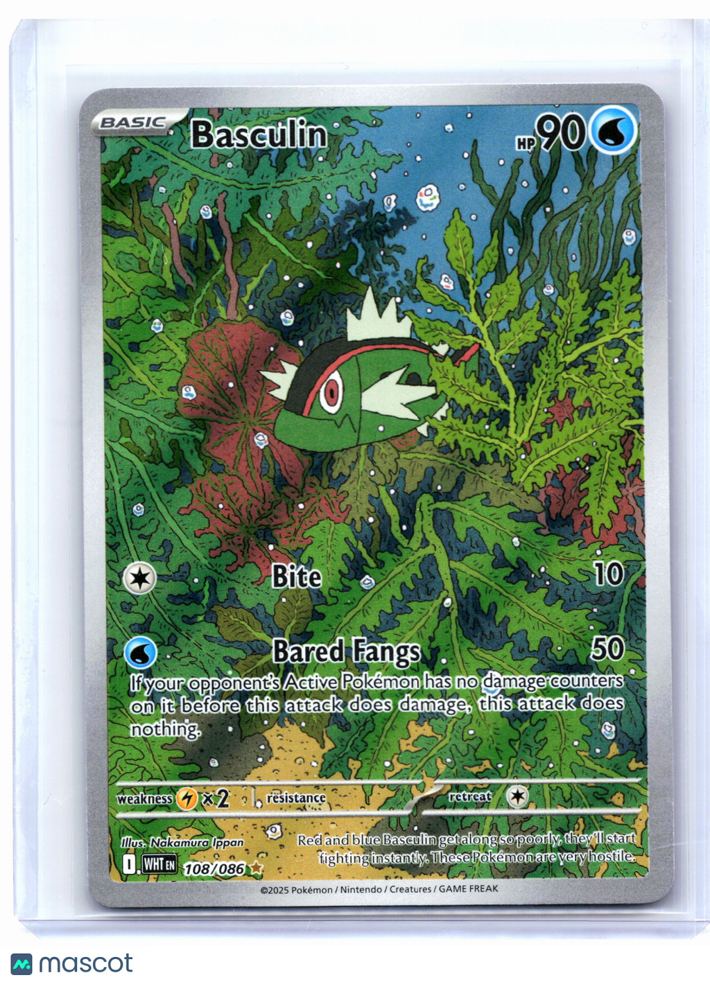 2025 Pokemon—Basculin #108/086 White Flare—Illustration Rare Holo