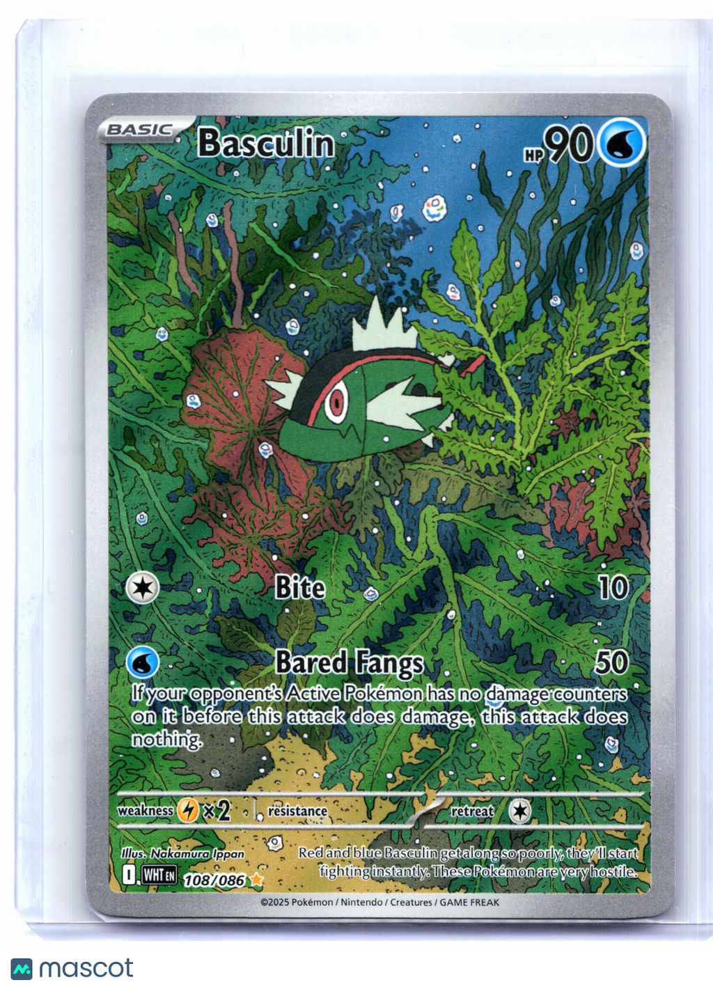 2025 Pokemon—Basculin #108/086 White Flare—Illustration Rare Holo