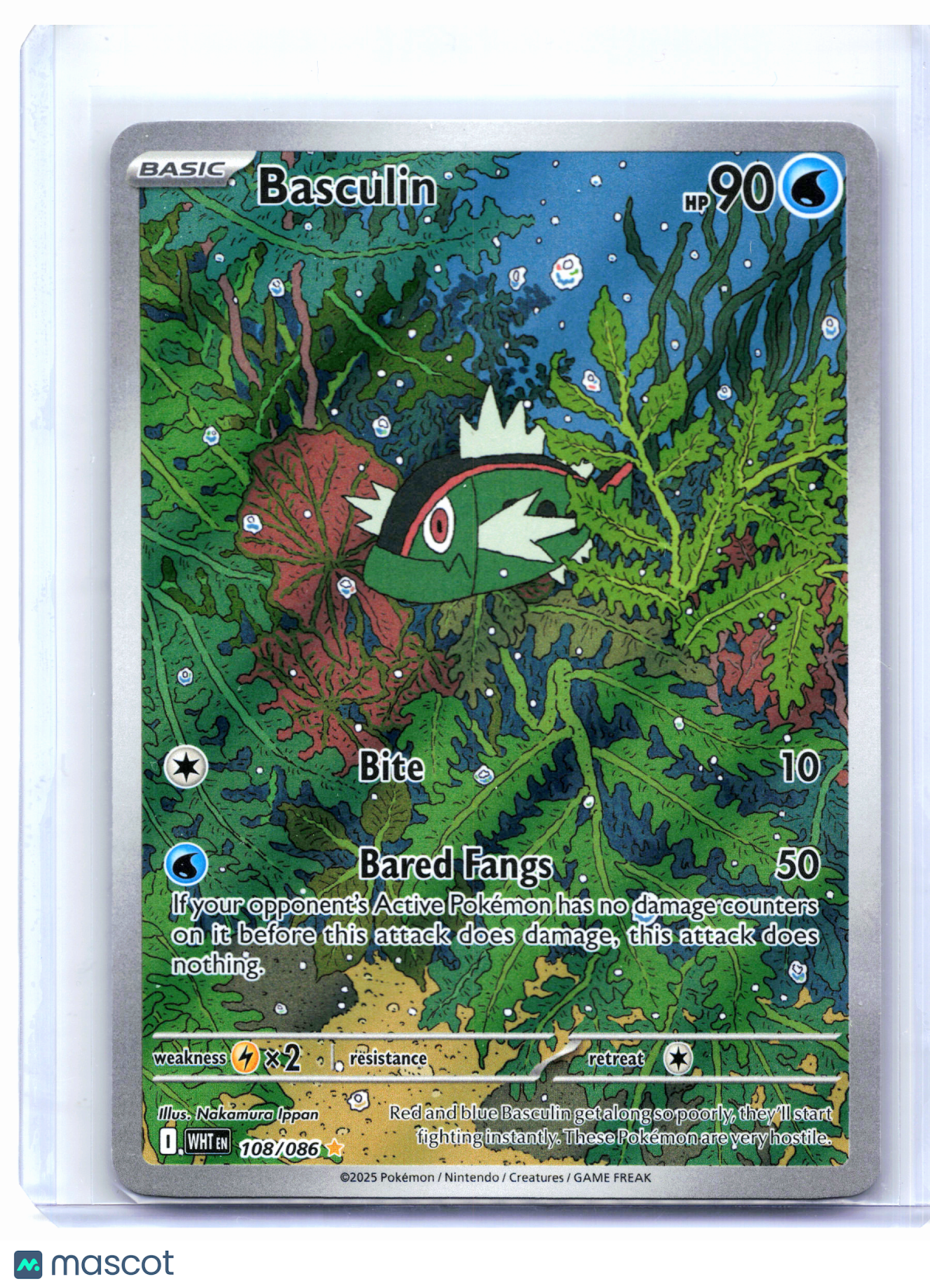 2025 Pokemon—Basculin #108/086 White Flare—Illustration Rare Holo