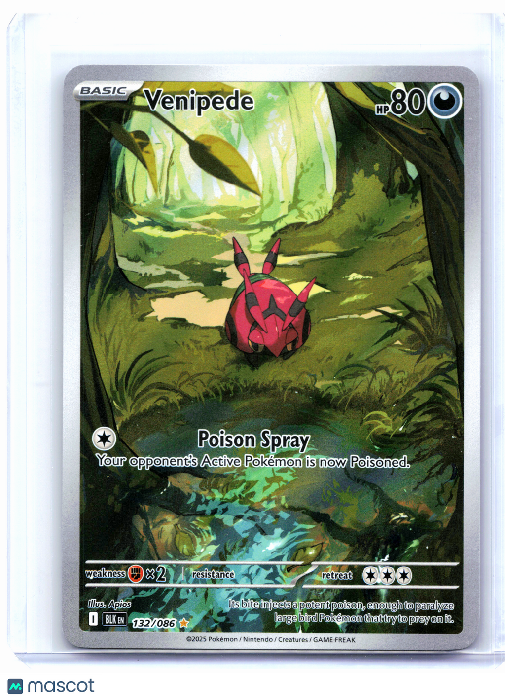 2025 Pokemon—Venipede #132/086 Black Bolt—Illustration Rare Holo