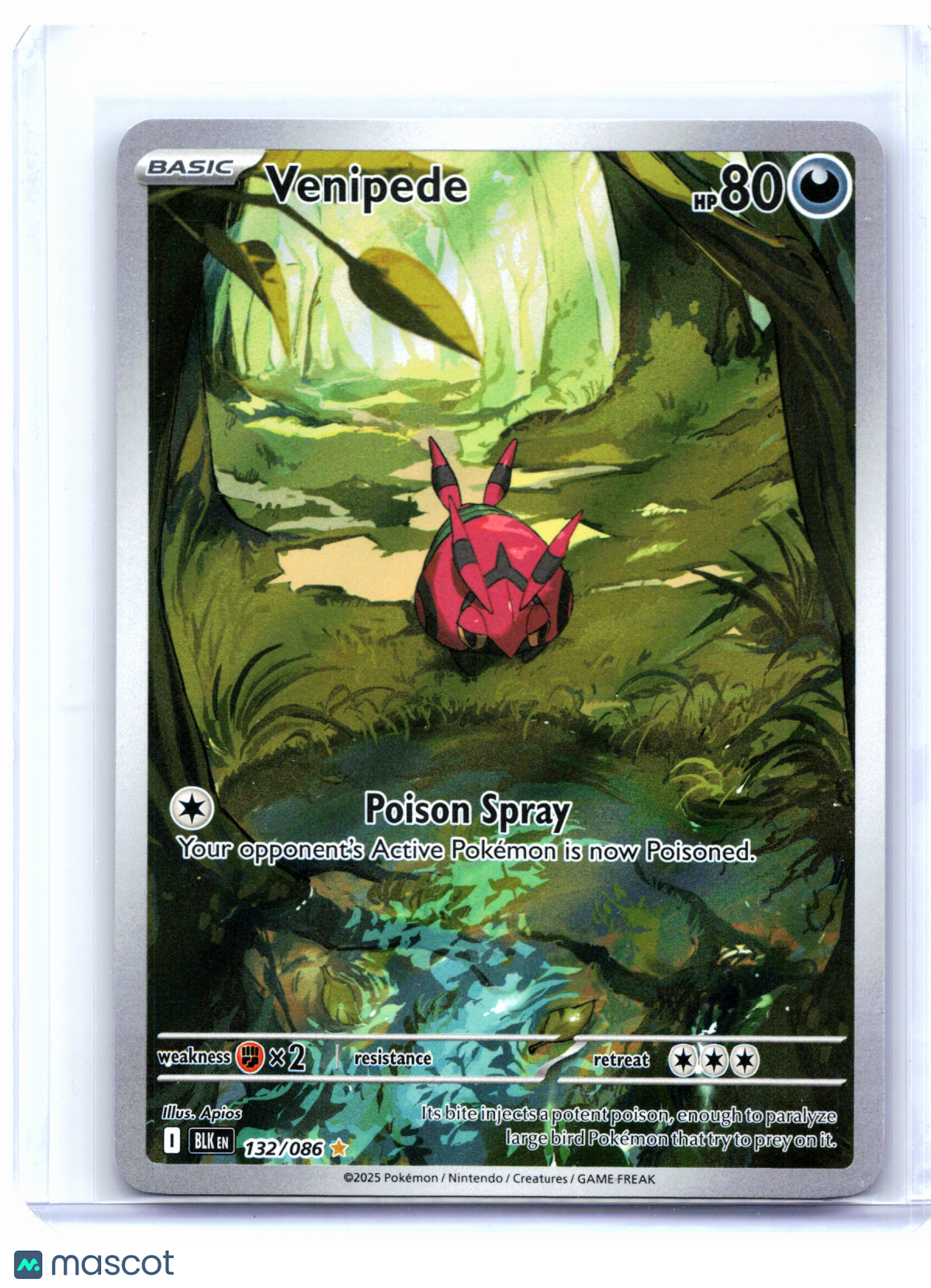 2025 Pokemon—Venipede #132/086 Black Bolt—Illustration Rare Holo