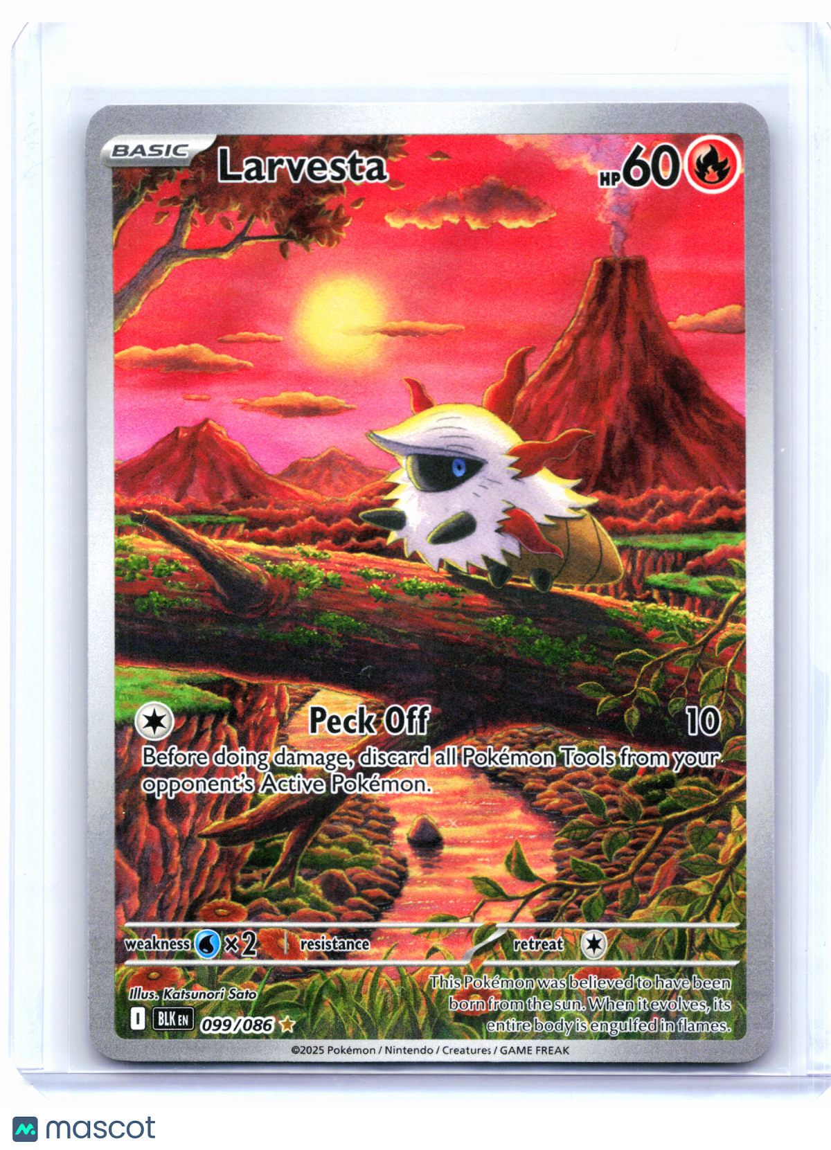 2025 Pokemon—Larvesta #099/086 Black Bolt—Illustration Rare Holo