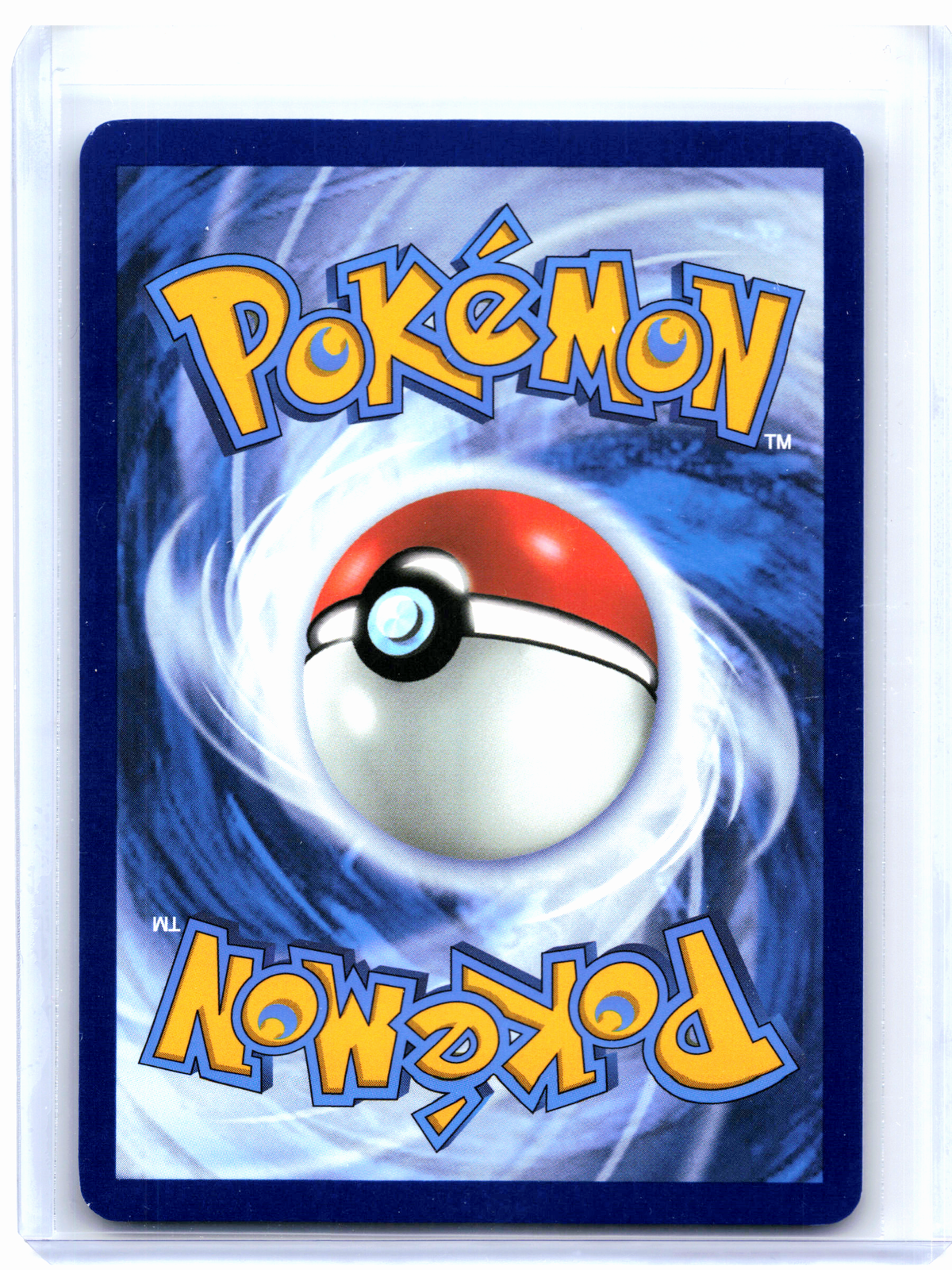 2025 Pokemon—Palpitoad #104/086 Black Bolt—Illustration Rare Holo