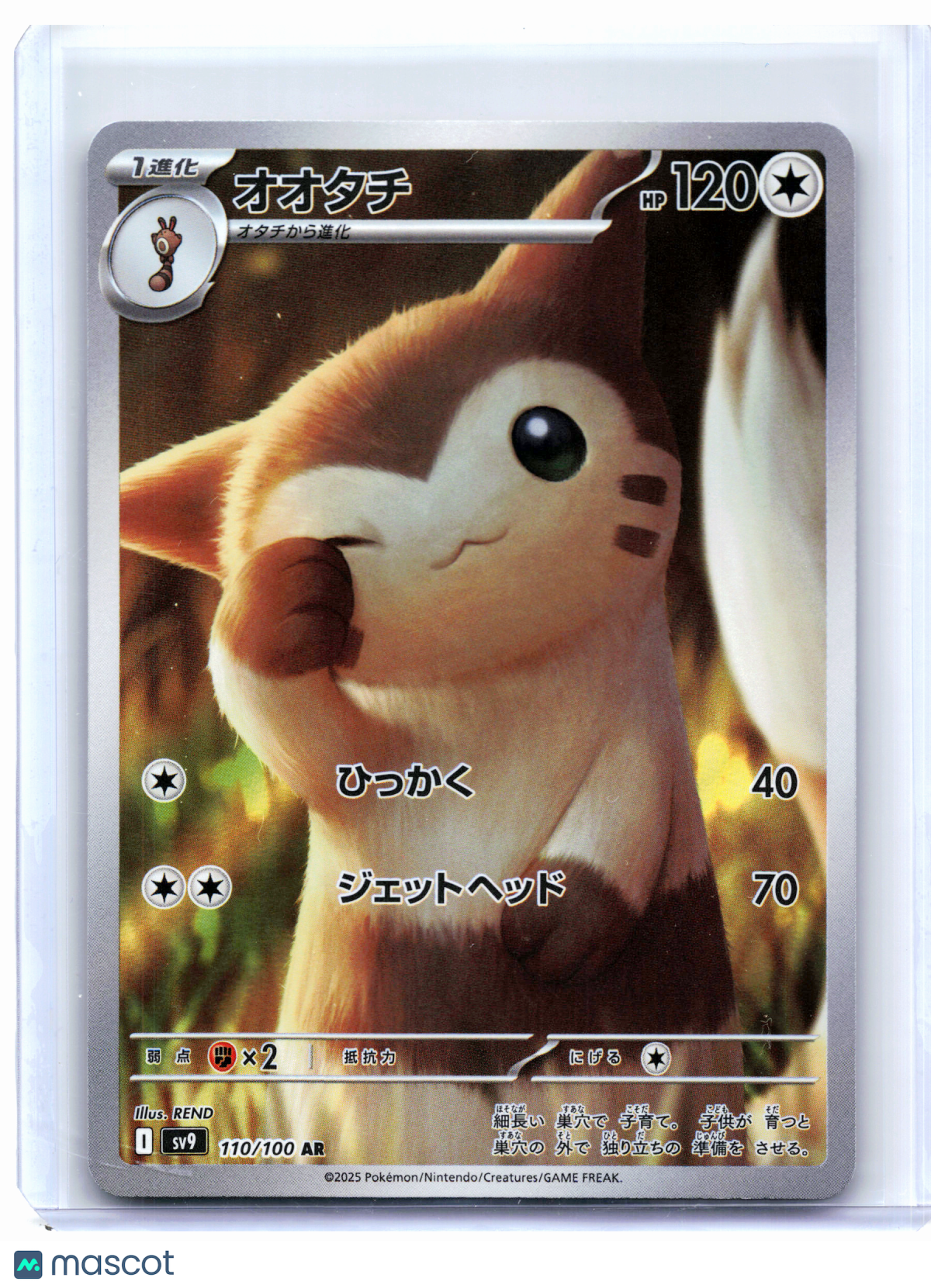 2025 Pokemon—Furret #110/100 Battle Partners—Art Rare Holo Japanese
