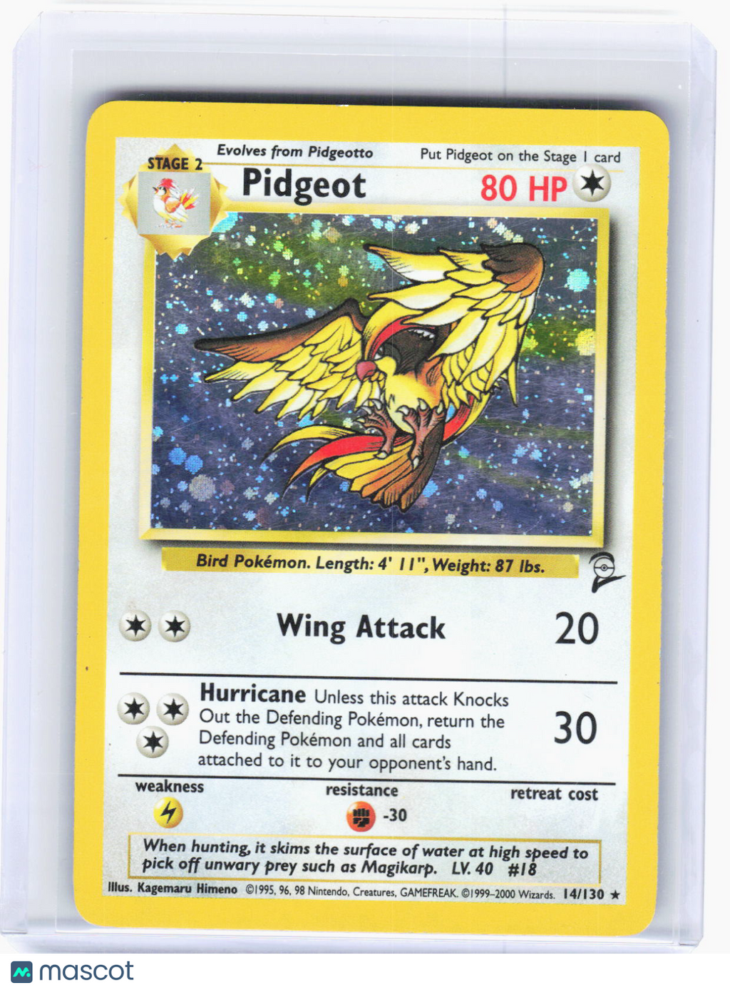2000 Pokemon—Pidgeot #14/130 Base Set 2—Rare Holo (Moderately Played)