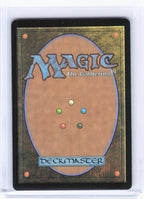 2024 Magic: The Gathering—Walk-In Closet//Forgotten Cellar #205 (DSK)—M Non-Foil