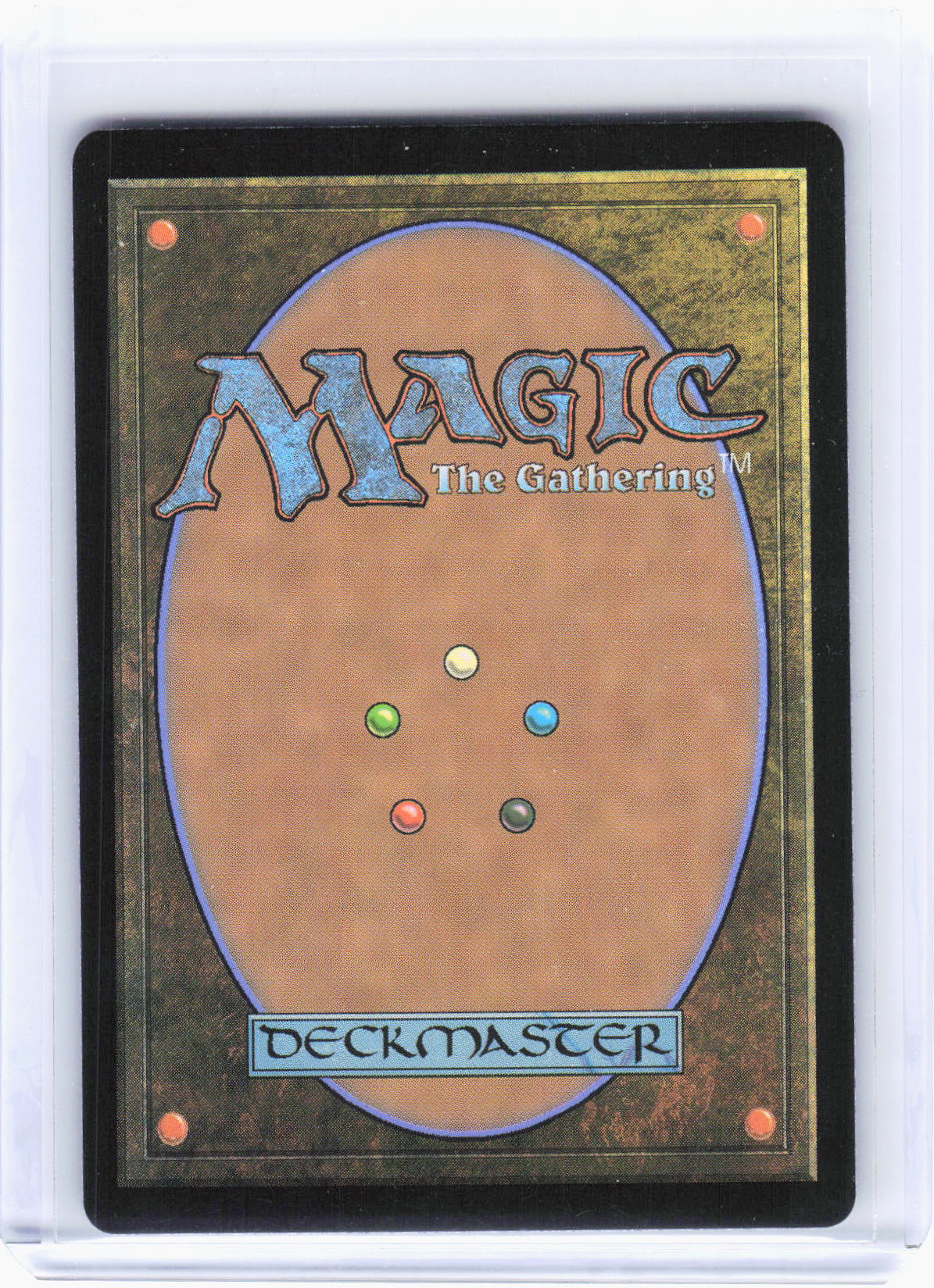2024 Magic: The Gathering—Walk-In Closet//Forgotten Cellar #205 (DSK)—M Non-Foil