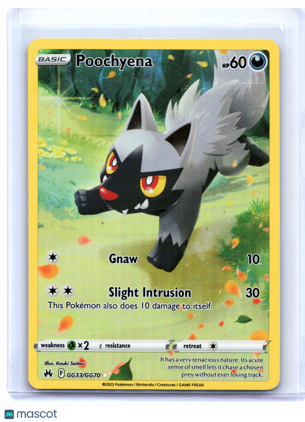 2023 Pokemon—Poochyena #GG33/GG70 Crown Zenith: Galarian Gallery—Ultra Rare Holo