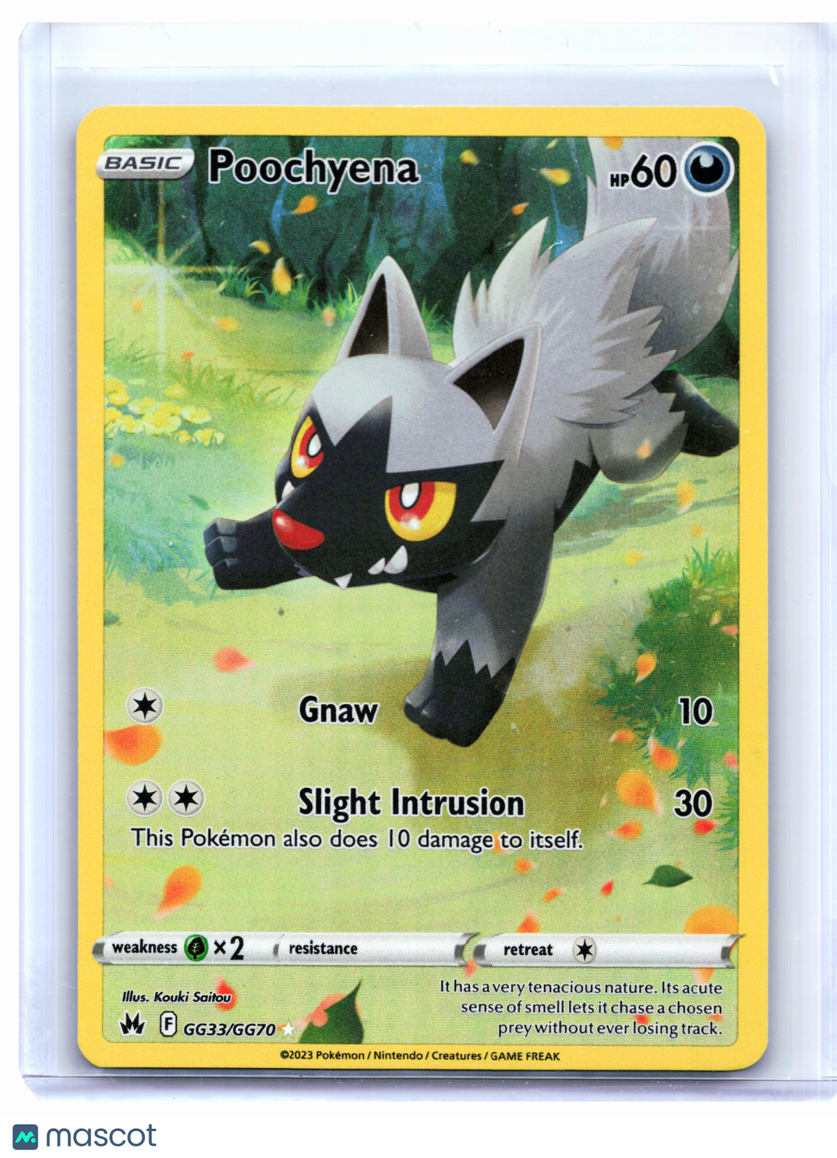 2023 Pokemon—Poochyena #GG33/GG70 Crown Zenith: Galarian Gallery—Ultra Rare Holo