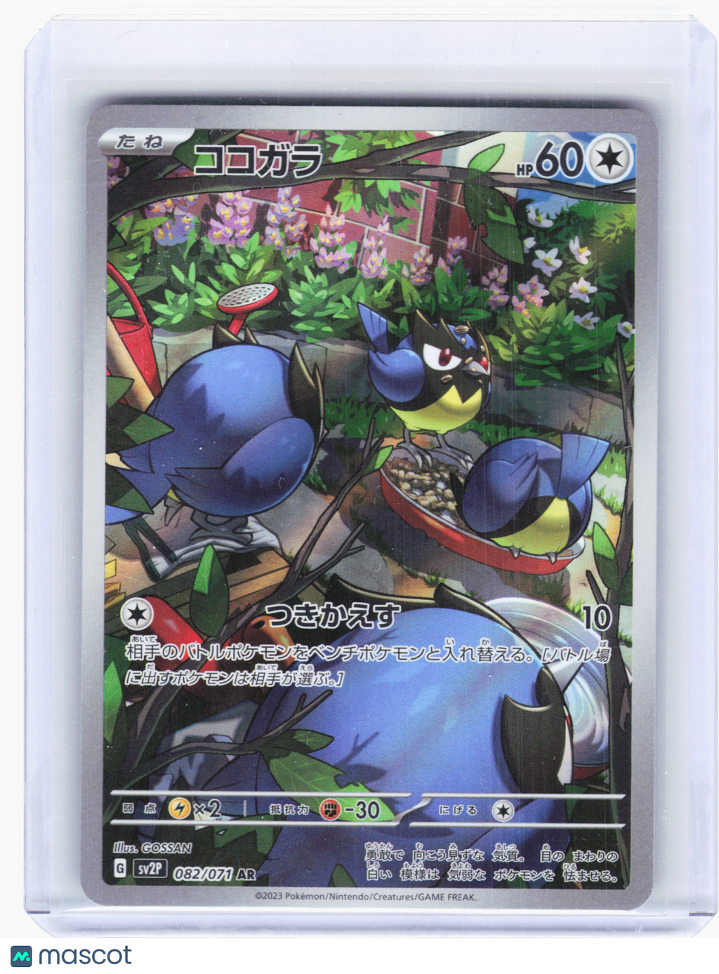 2023 Pokemon—Rookidee #82 Snow Hazard—Art Rare Holo Japanese