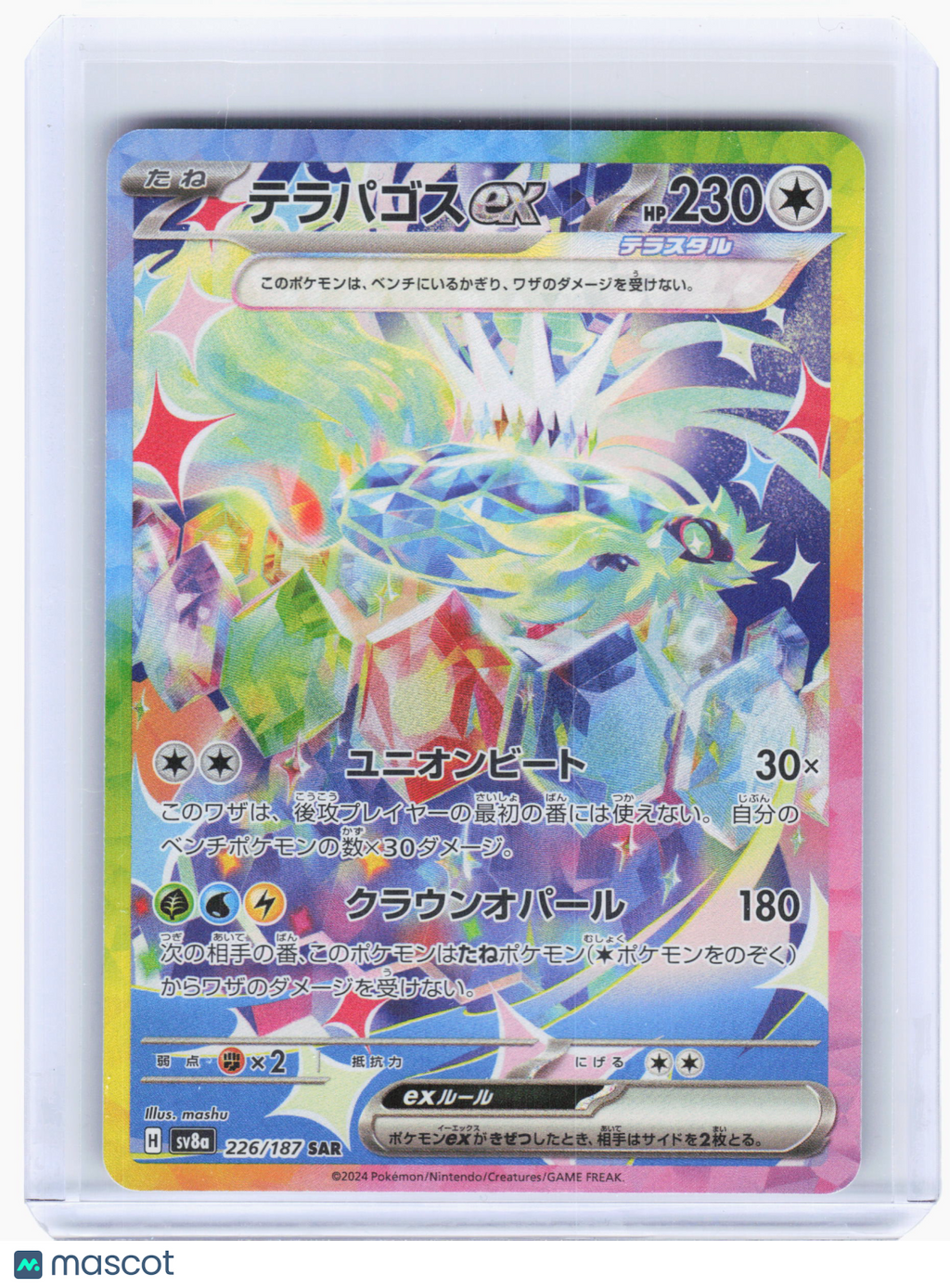 2024 Pokemon—Terapagos ex #226 Terastal Fest ex—Special Art Rare Holo Japanese