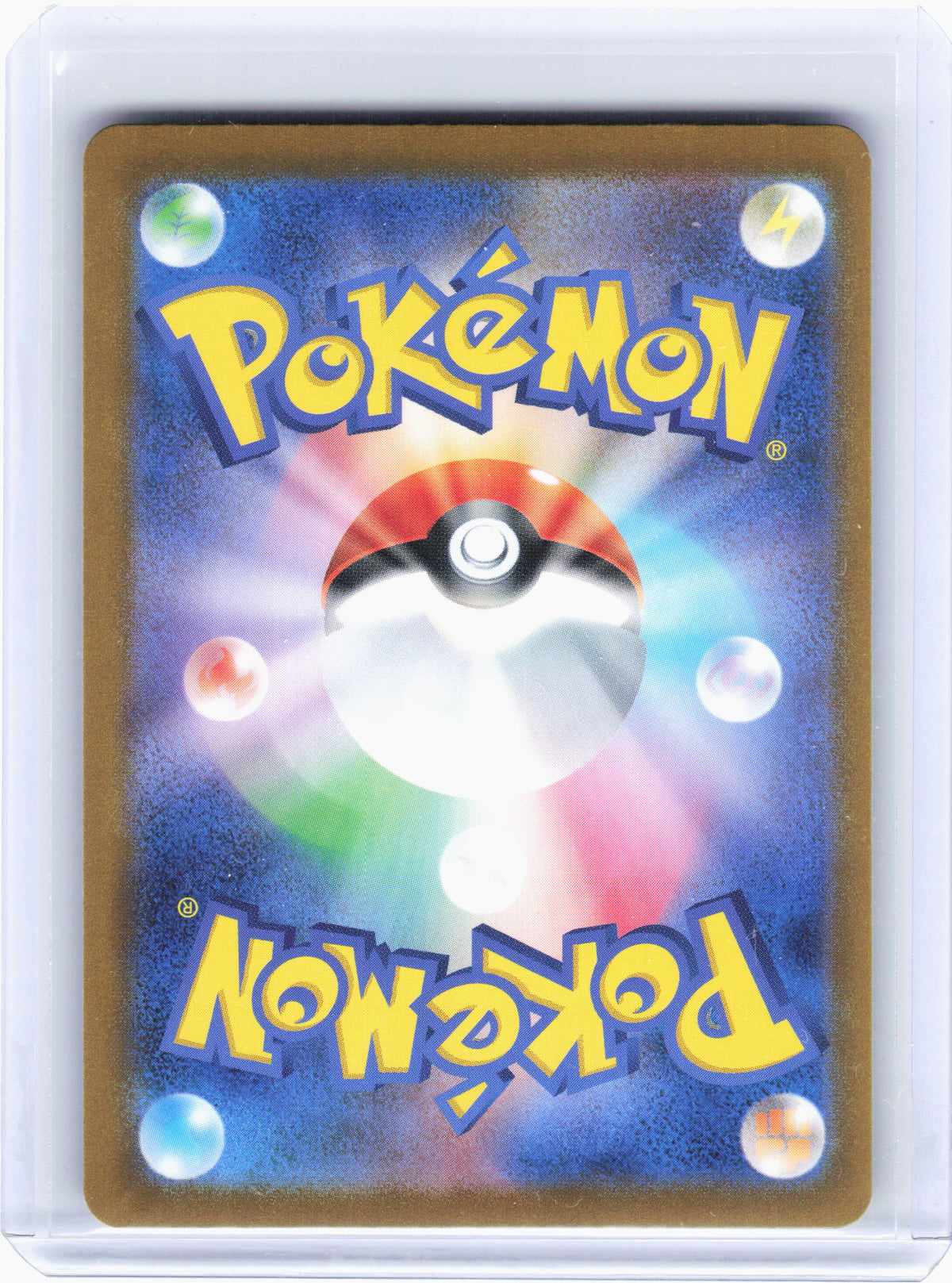 2024 Pokemon—Terapagos ex #226 Terastal Fest ex—Special Art Rare Holo Japanese