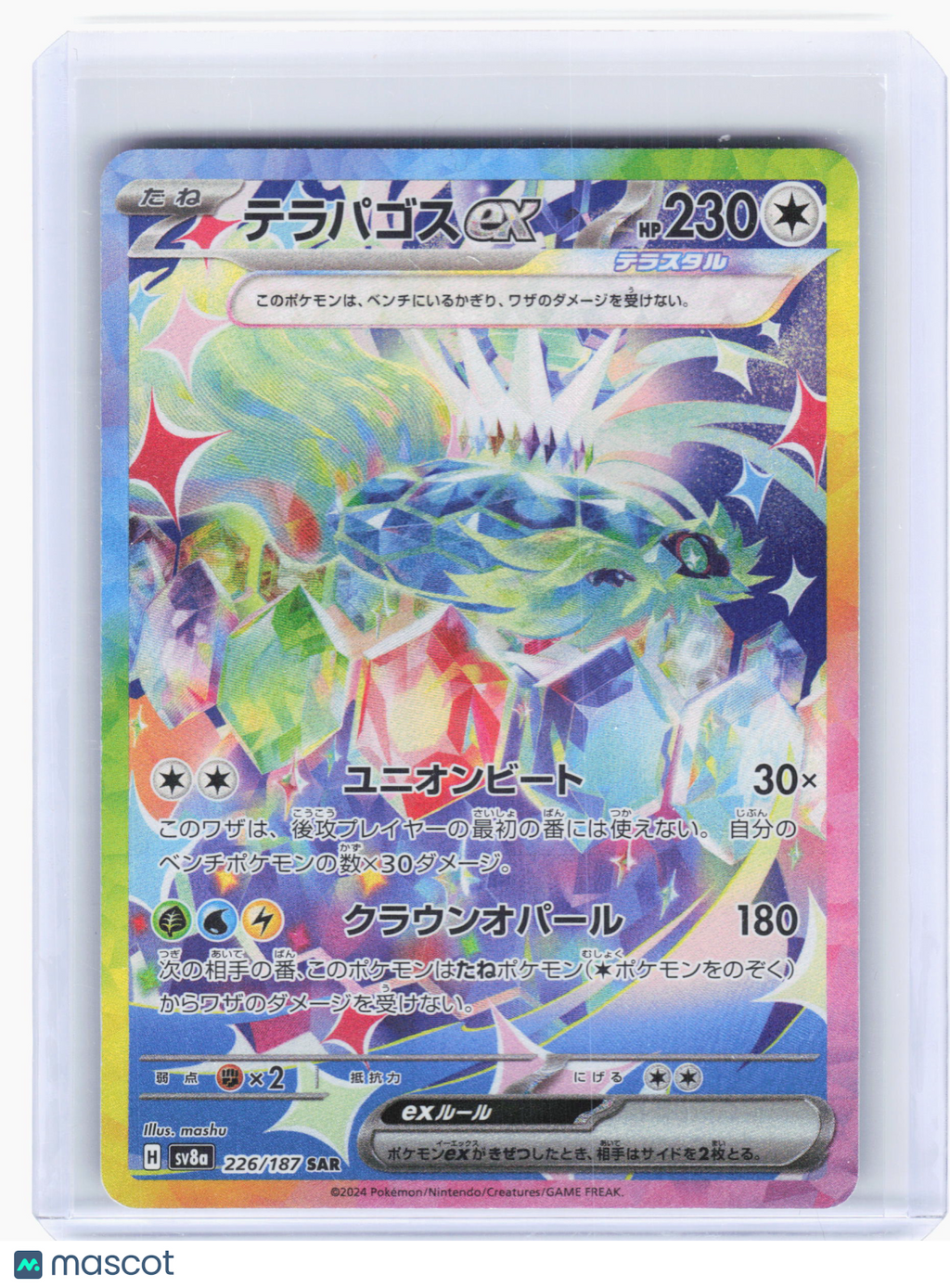 2024 Pokemon—Terapagos ex #226 Stellar Crown—Special Art Rare Holo Japanese