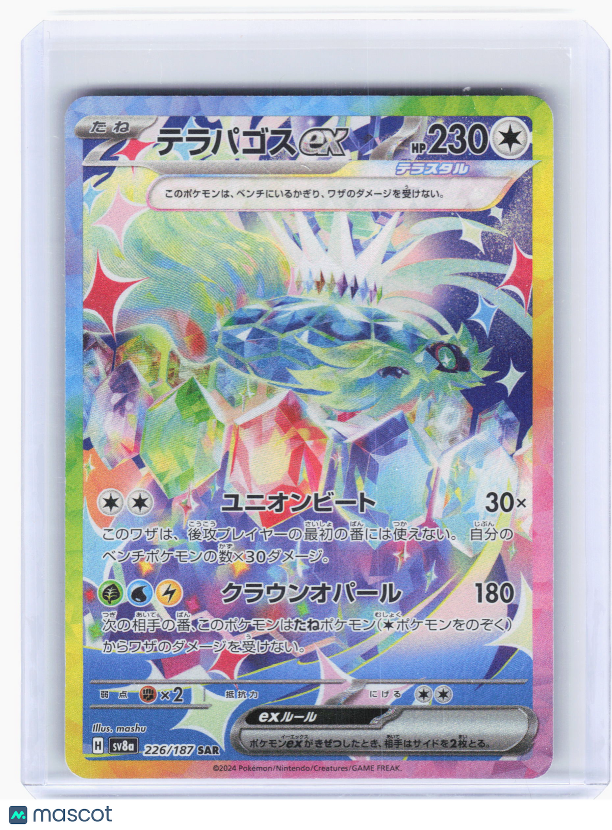 2024 Pokemon—Terapagos ex #226 Stellar Crown—Special Art Rare Holo Japanese