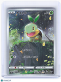 2022 Pokemon—Turtwig #206 VSTAR Universe—Art Rare Holo Japanese