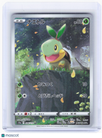 2022 Pokemon—Turtwig #206 VSTAR Universe—Art Rare Holo Japanese
