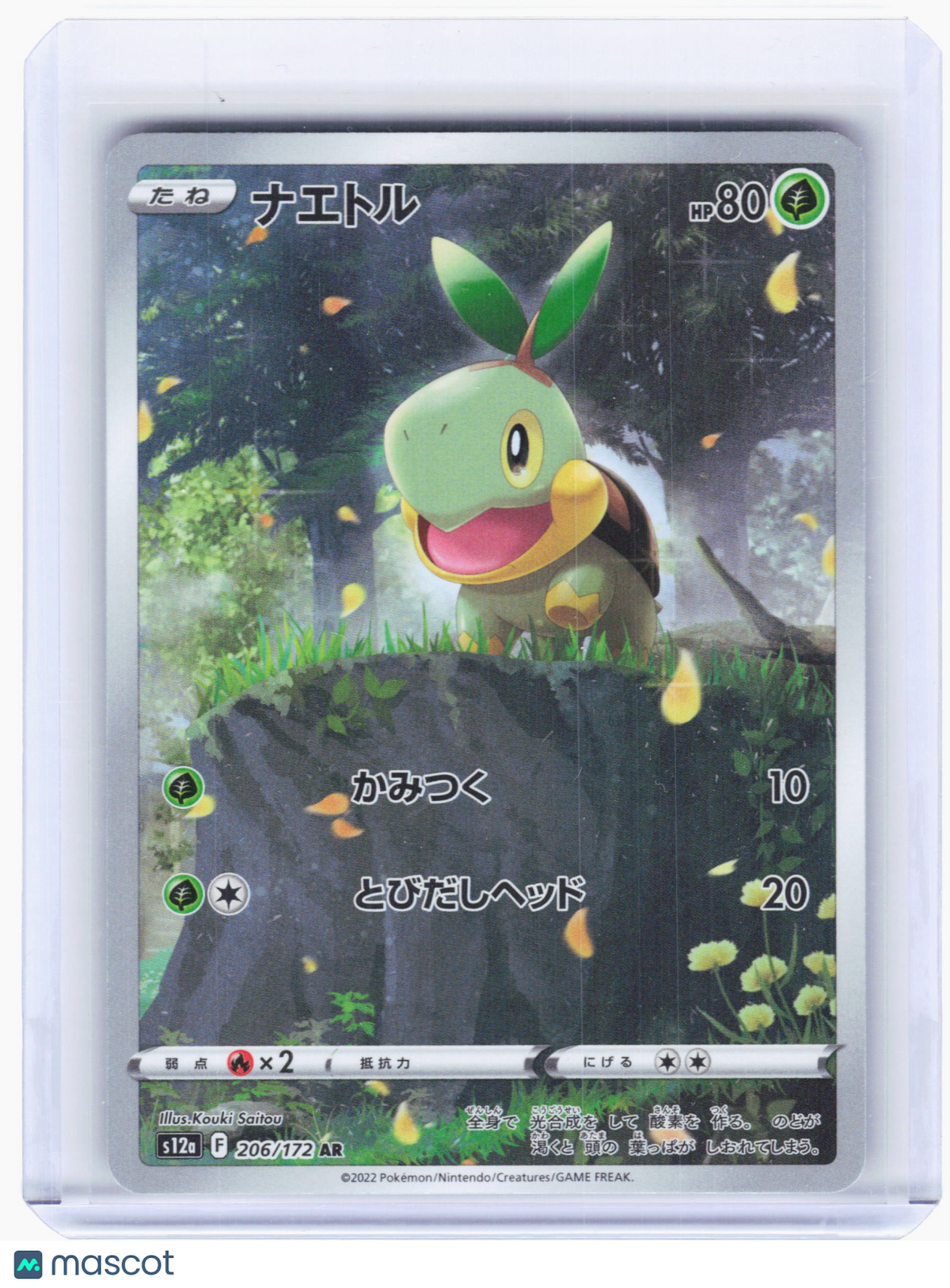 2022 Pokemon—Turtwig #206 VSTAR Universe—Art Rare Holo Japanese