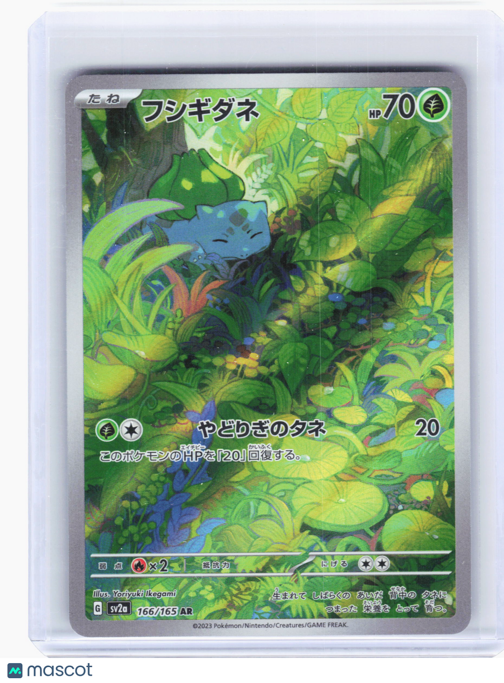 2023 Pokemon—Bulbasaur #166 Pokemon Card 151—Art Rare Holo Japanese