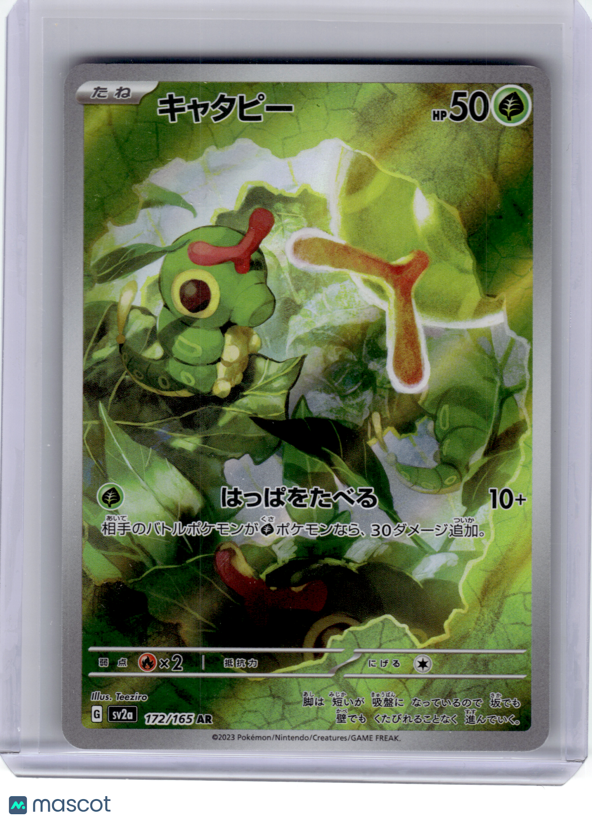 2023 Pokemon—Caterpie #172 SV2a—Art Rare Holo Japanese