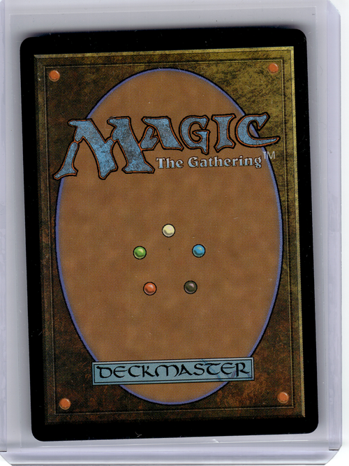 2024 Magic: The Gathering—Meticulous Archive #264 Murders at Karlov Manor—Rare