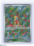 2025 Pokemon—Shuckle #136 Mega Evolution—Illustration Rare Holo