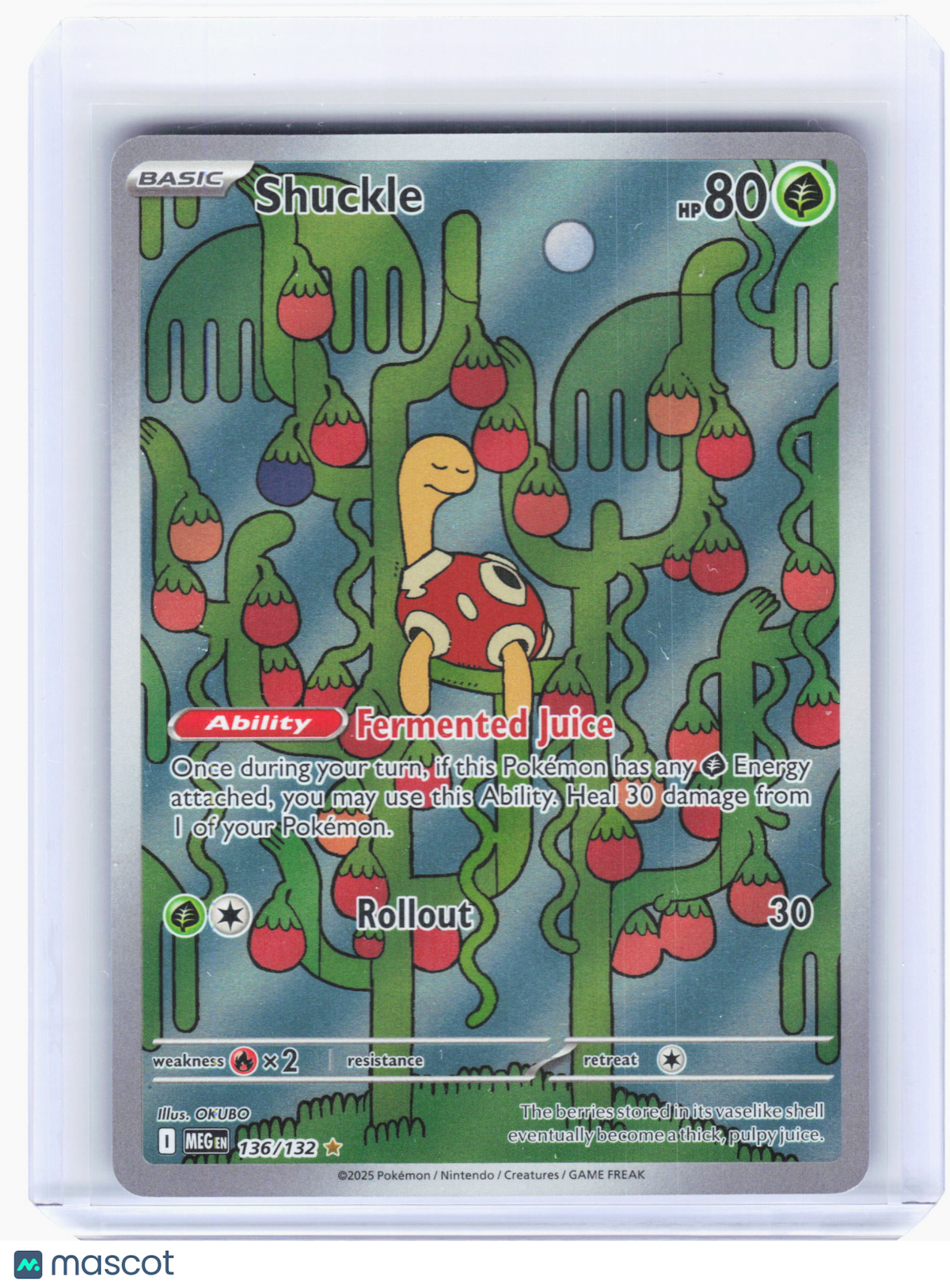 2025 Pokemon—Shuckle #136 Mega Evolution—Illustration Rare Holo