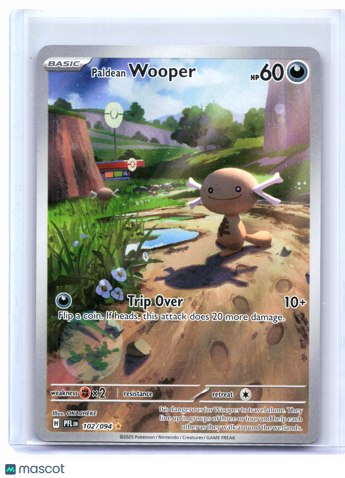 2025 Pokemon—Paldean Wooper #102/094 Phantasmal Flames—Illustration Rare Holo