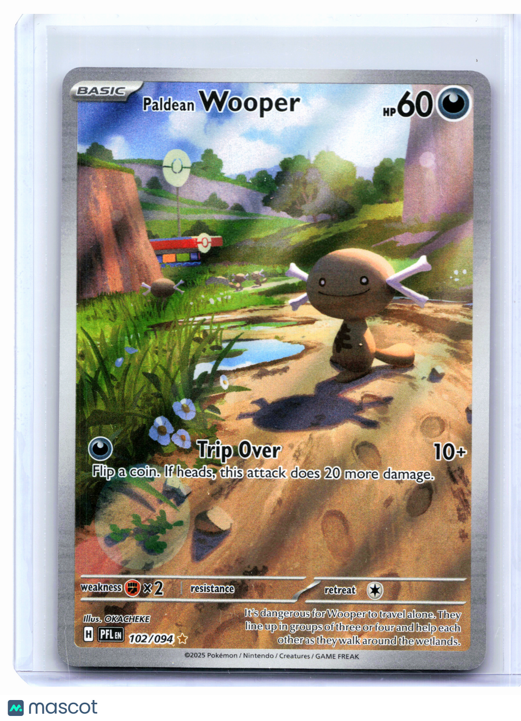 2025 Pokemon—Paldean Wooper #102/094 Phantasmal Flames—Illustration Rare Holo