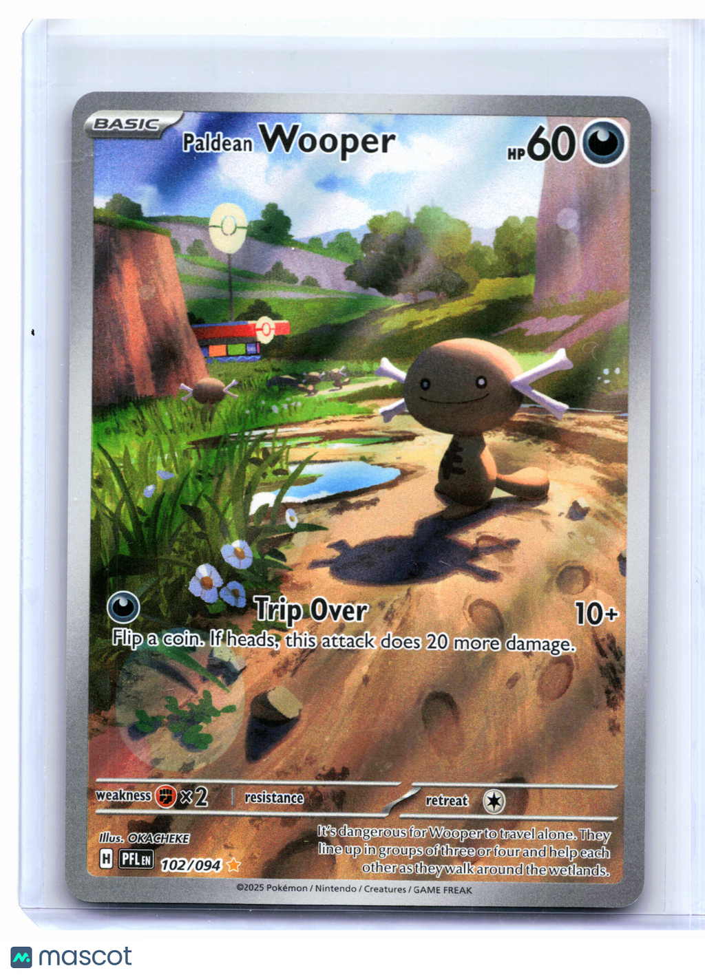2025 Pokemon—Paldean Wooper #102/094 Phantasmal Flames—Illustration Rare Holo