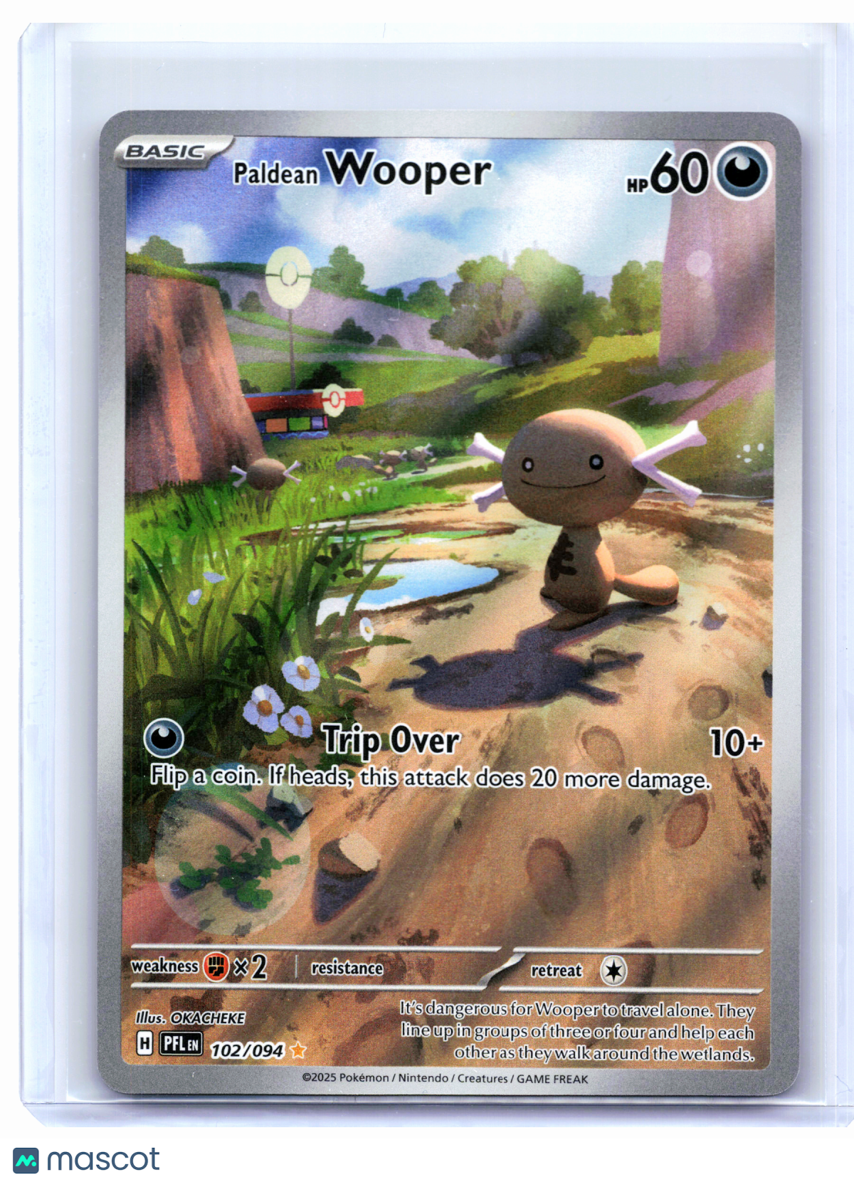 2025 Pokemon—Paldean Wooper #102/094 Phantasmal Flames—Illustration Rare Holo