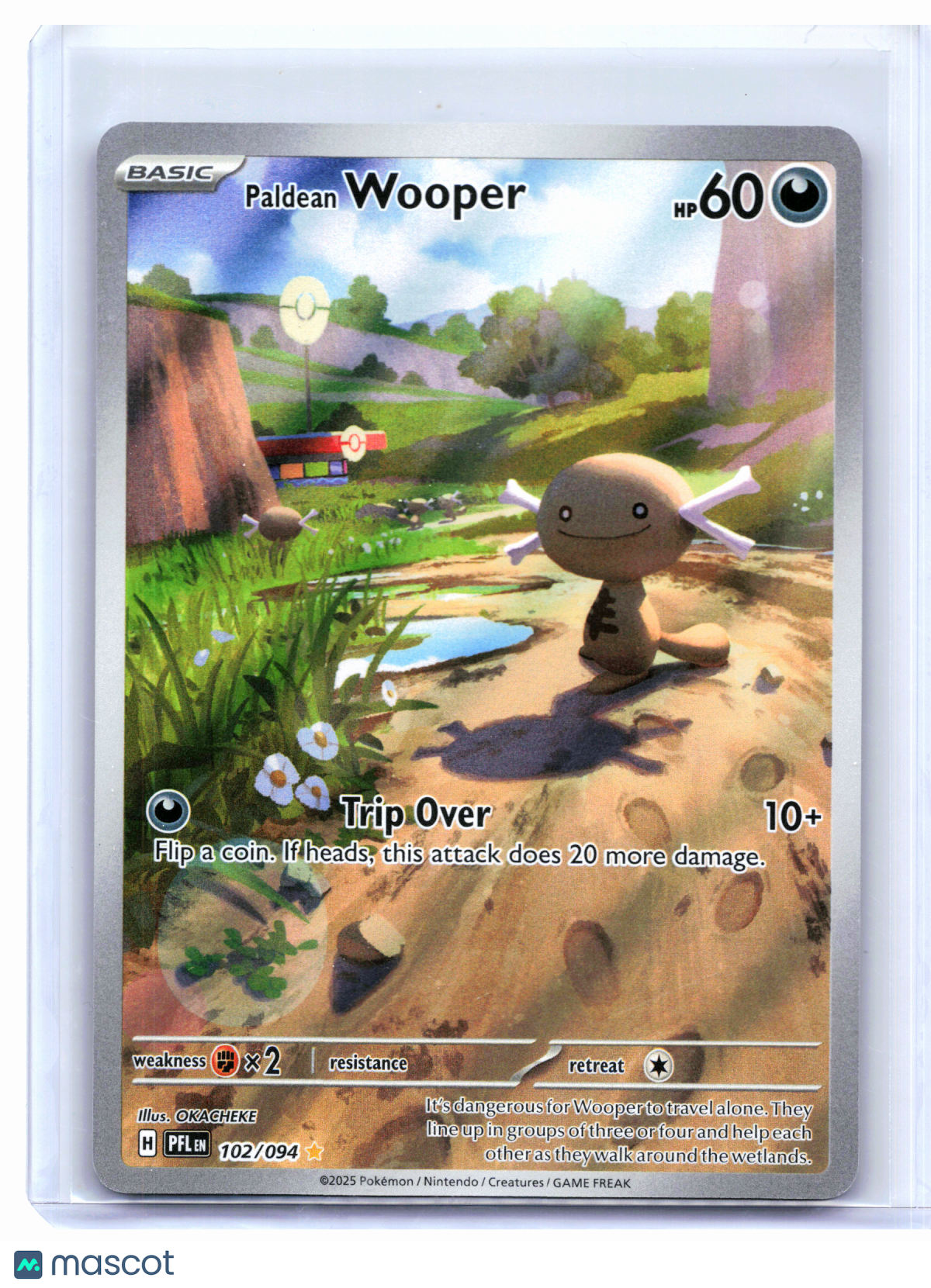 2025 Pokemon—Paldean Wooper #102/094 Phantasmal Flames—Illustration Rare Holo