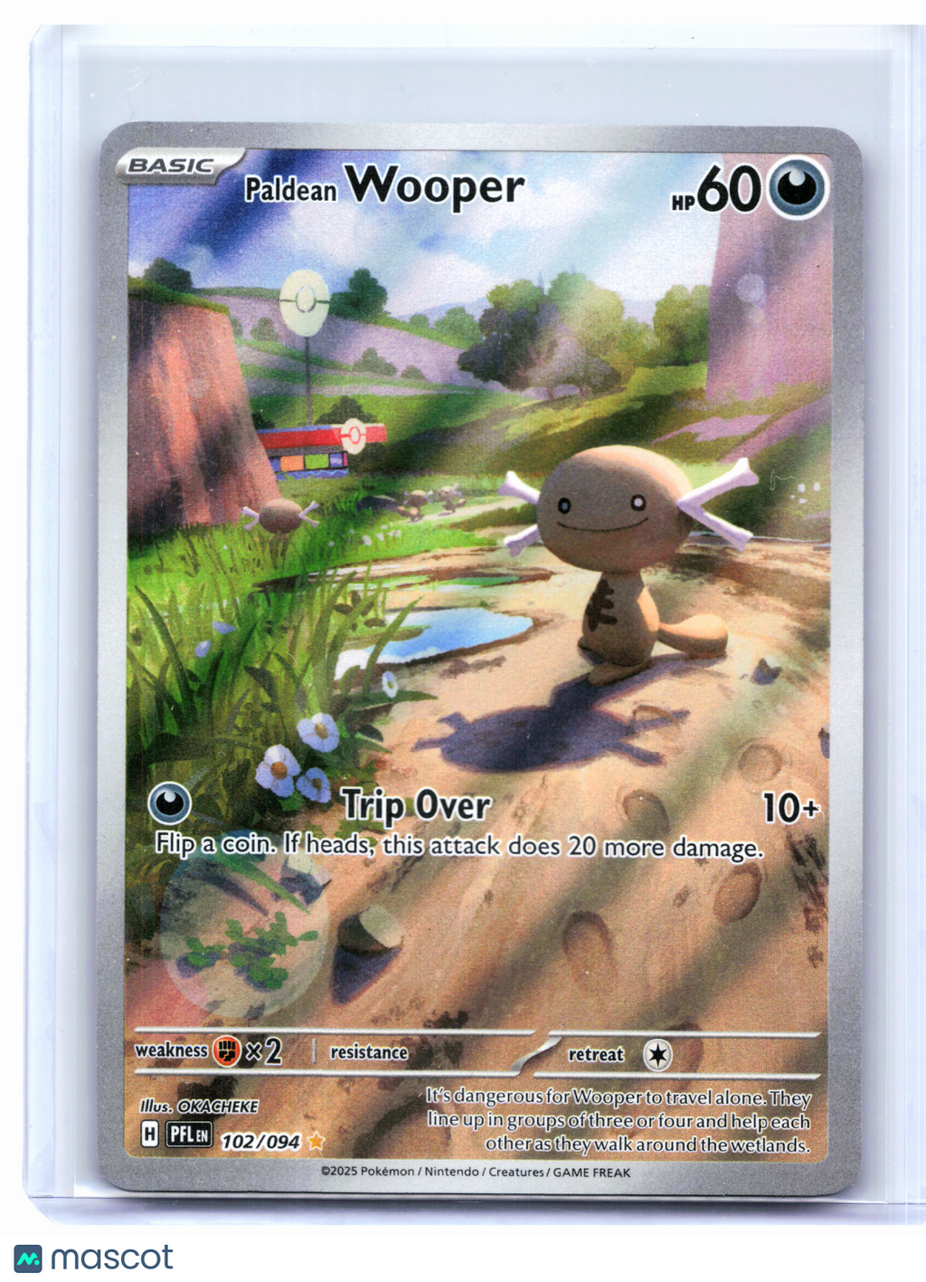 2025 Pokemon—Paldean Wooper #102/094 Phantasmal Flames—Illustration Rare Holo