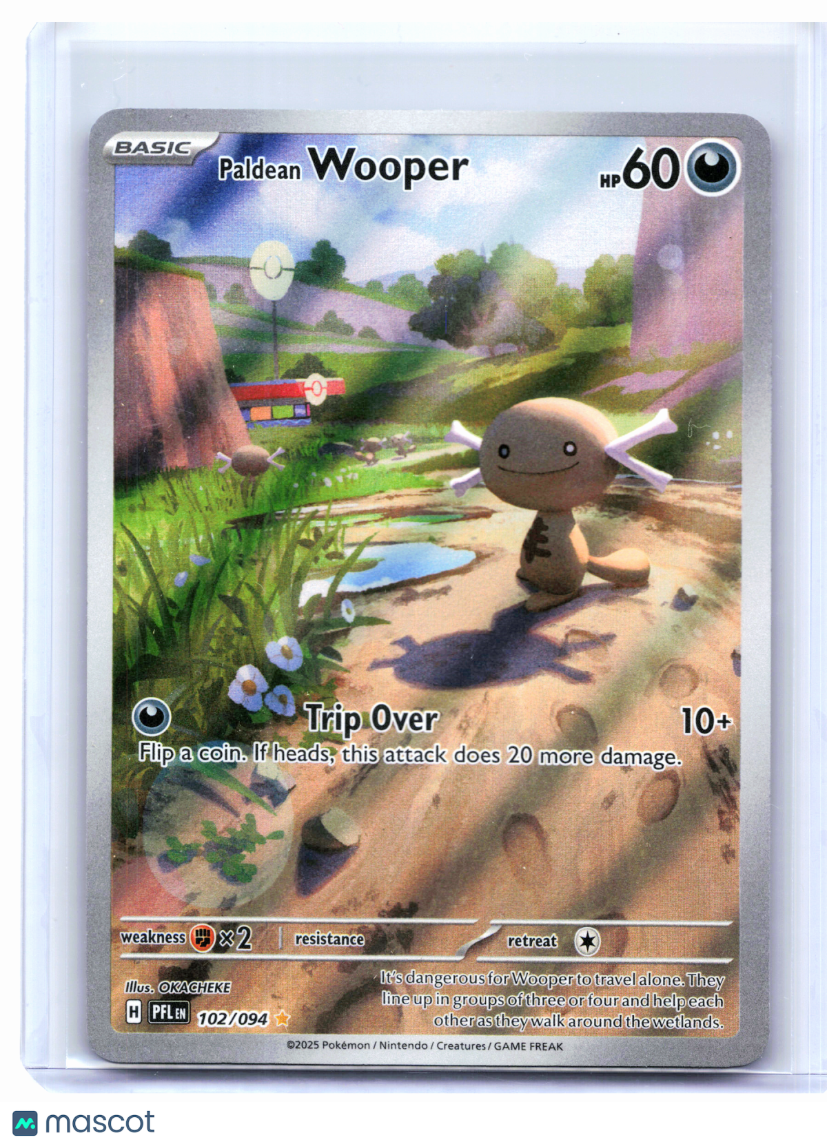 2025 Pokemon—Paldean Wooper #102/094 Phantasmal Flames—Illustration Rare Holo