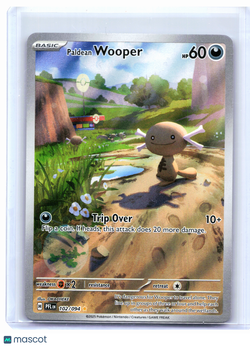 2025 Pokemon—Paldean Wooper #102/094 Phantasmal Flames—Illustration Rare Holo