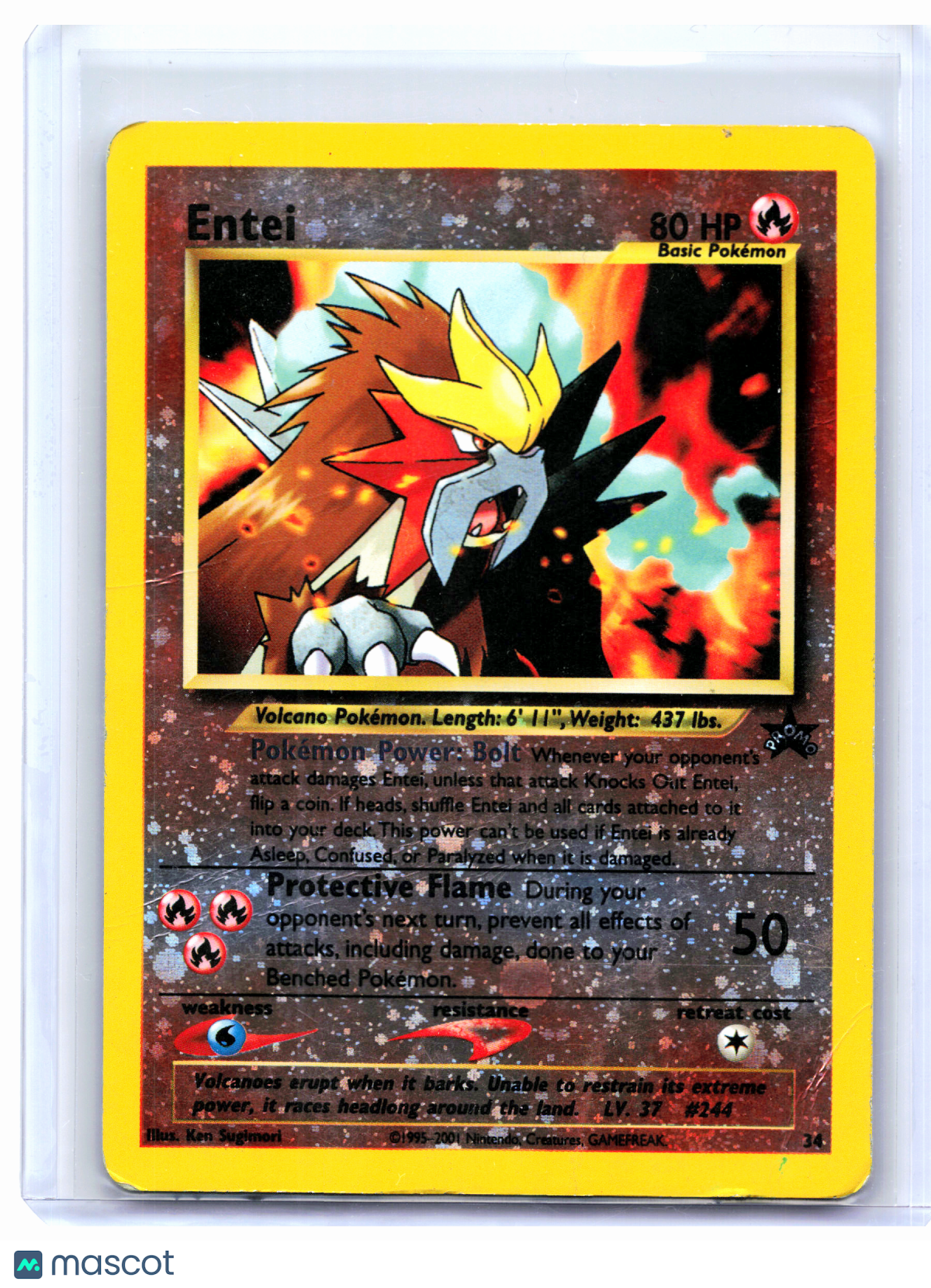 2001 Pokemon—Entei #34 WoTC Promo—Black Star Promo Reverse Holo [Damaged]