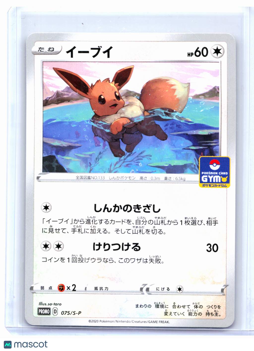 2020 Pokemon—Eevee #075/S-P Sword & Shield Promos—Common Nonholo Japanese