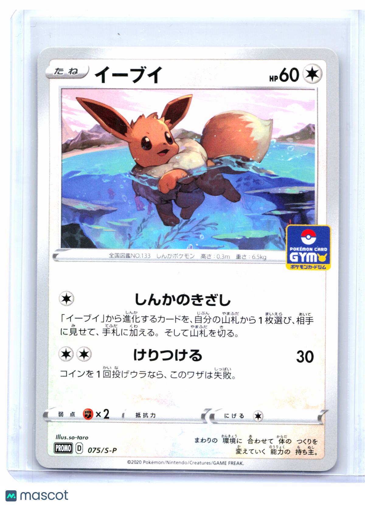 2020 Pokemon—Eevee #075/S-P Sword & Shield Promos—Common Nonholo Japanese