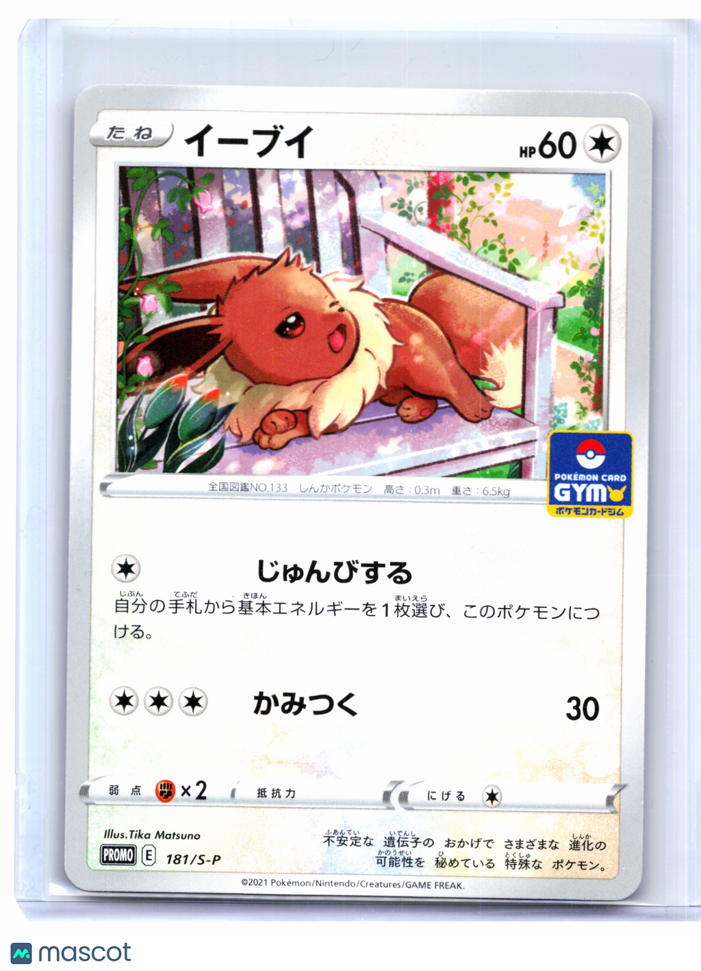 2021 Pokemon—Eevee #181/S-P Sword & Shield Promos—Common Nonholo Japanese