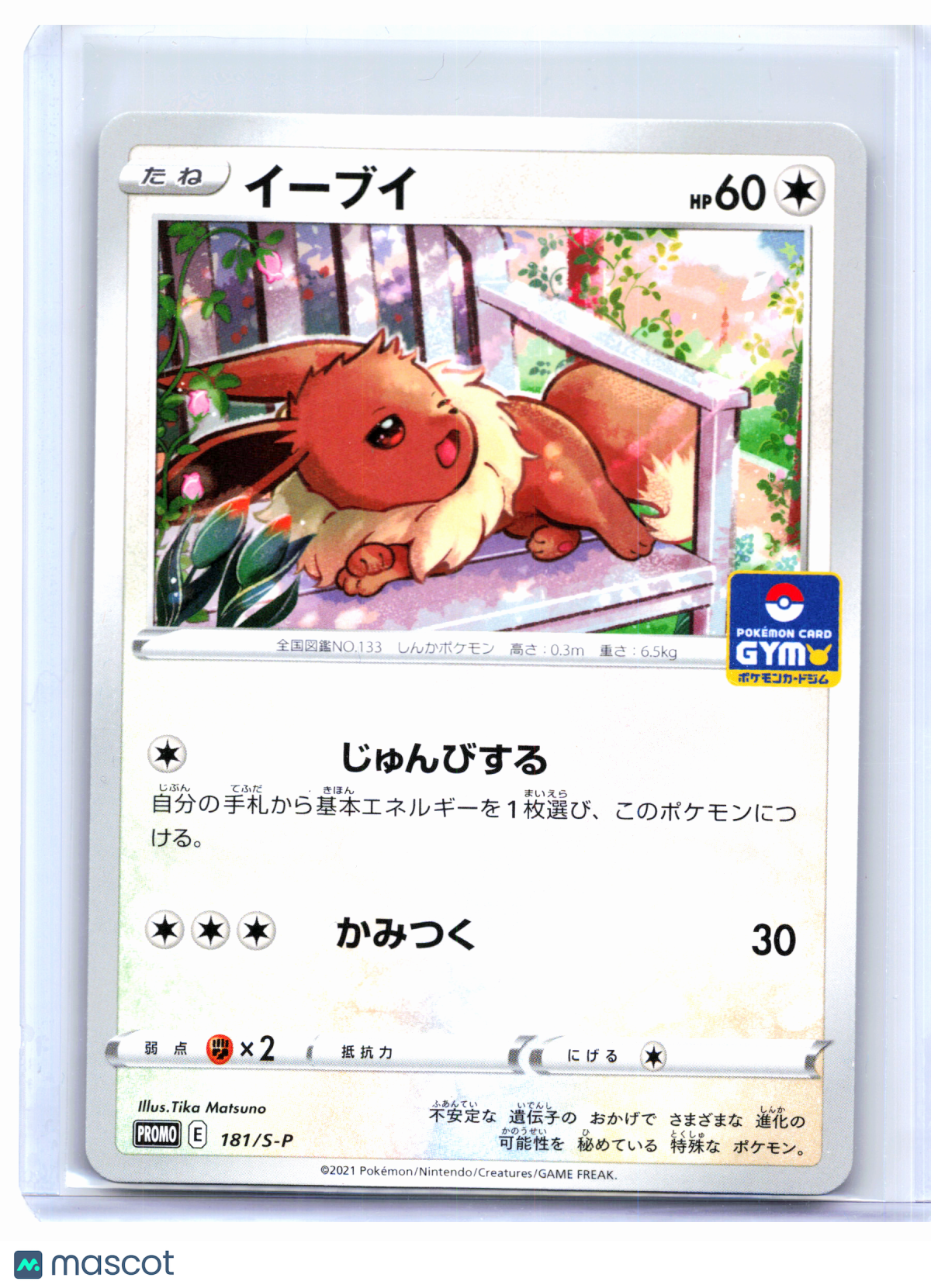 2021 Pokemon—Eevee #181/S-P Sword & Shield Promos—Common Nonholo Japanese