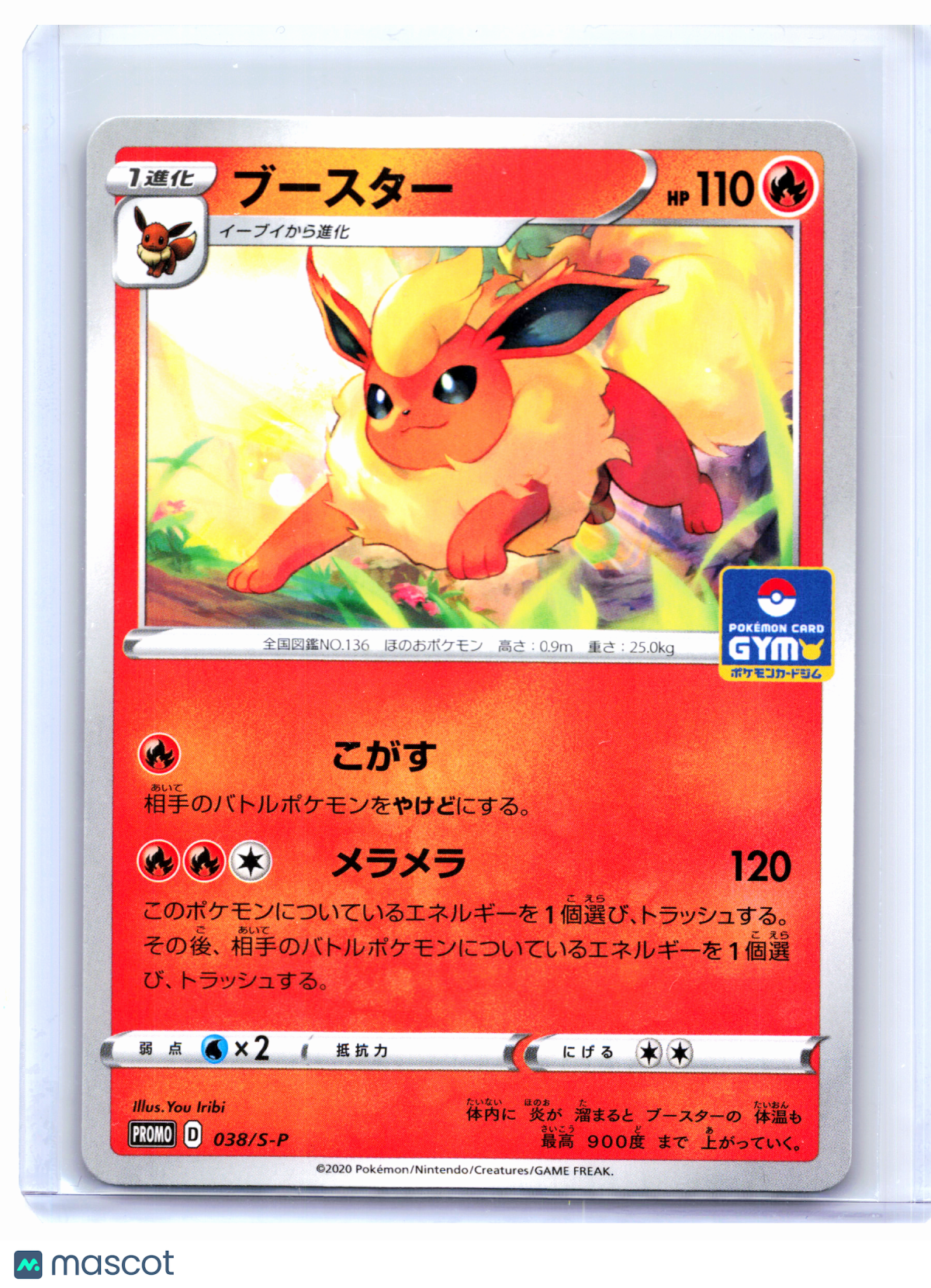 2020 Pokemon—Flareon #038/S-P Sword & Shield Promos—Common Nonholo Japanese