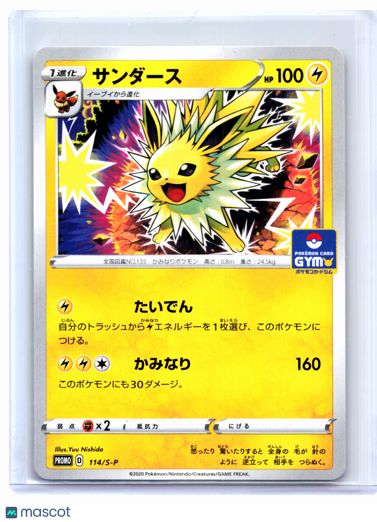 2020 Pokemon—Jolteon #114/S-P Sword & Shield Promos—Common Nonholo Japanese