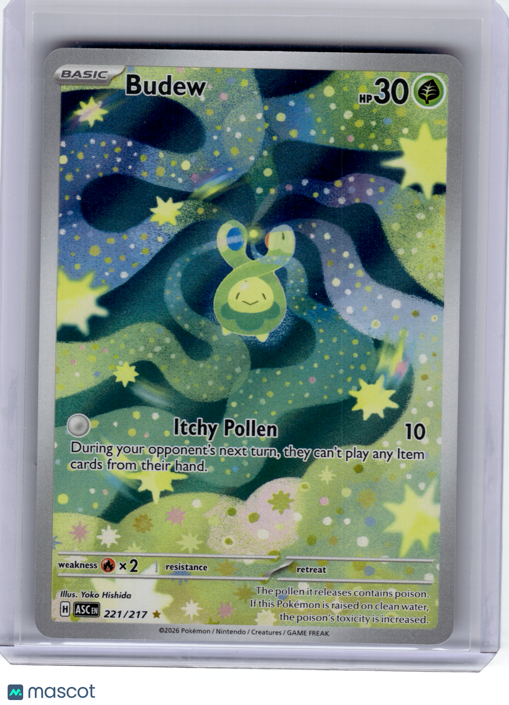 2026 Pokemon—Budew #221 Ascended Heroes—Illustration Rare Holo
