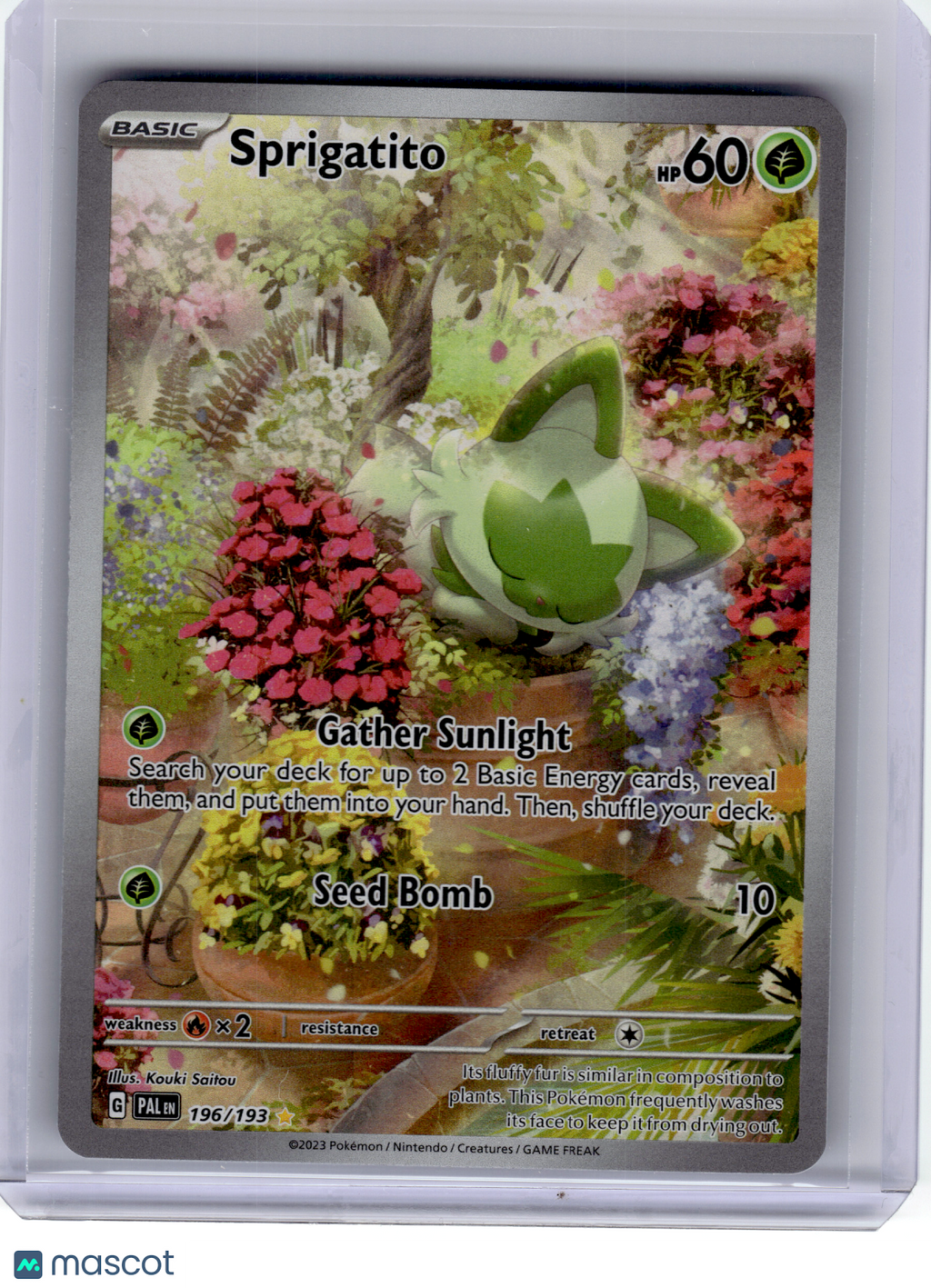 2023 Pokemon—Sprigatito #196 Paldea Evolved—Illustration Rare Holo