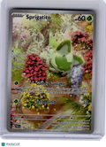 2023 Pokemon—Sprigatito #196 Paldea Evolved—Illustration Rare Holo